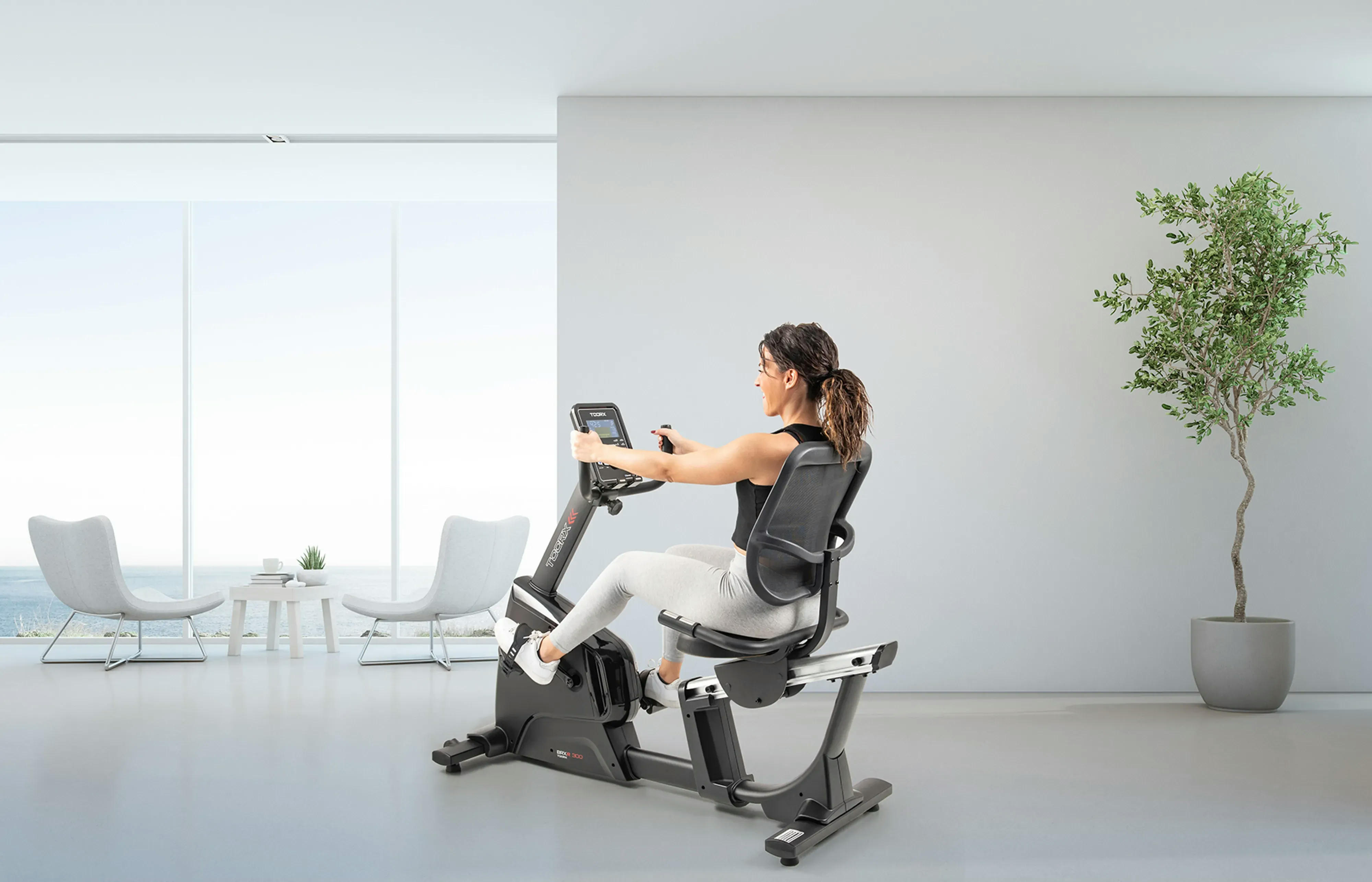 Горизонтальний велотренажер Toorx Recumbent Bike BRX R300фото12