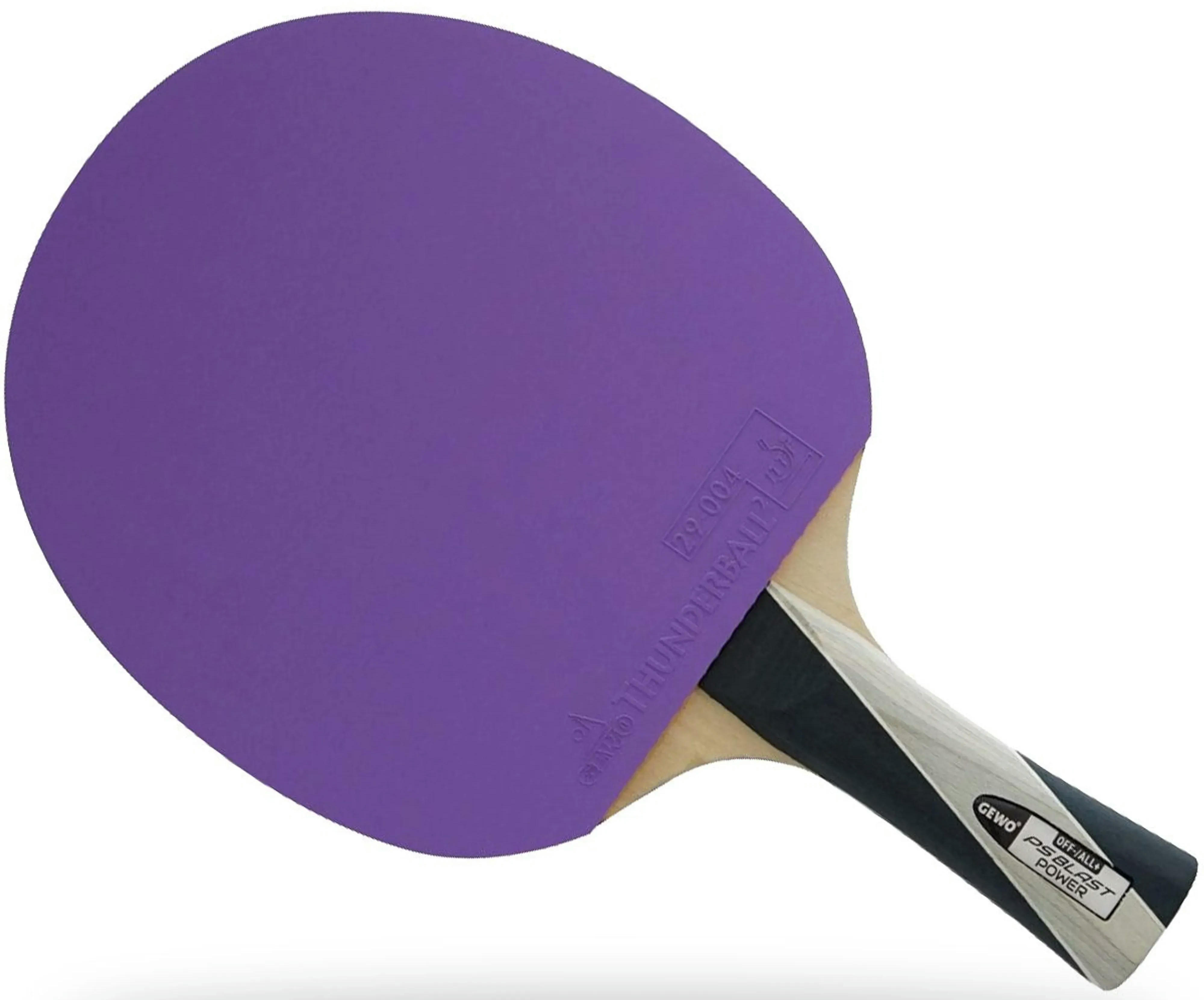 Ракетка для настольного тенниса Gewo PS Blast Power FL (1074100001) фото 2