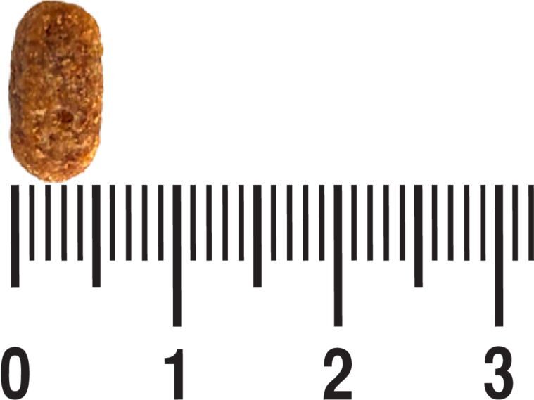 Сухий корм для котів Екко-Гранула з рибою 10кгфото3