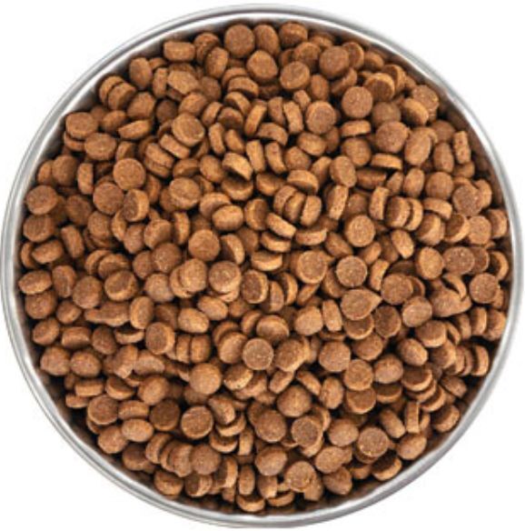 Сухий корм для котів Екко-Гранула з креветкою 10кгфото2