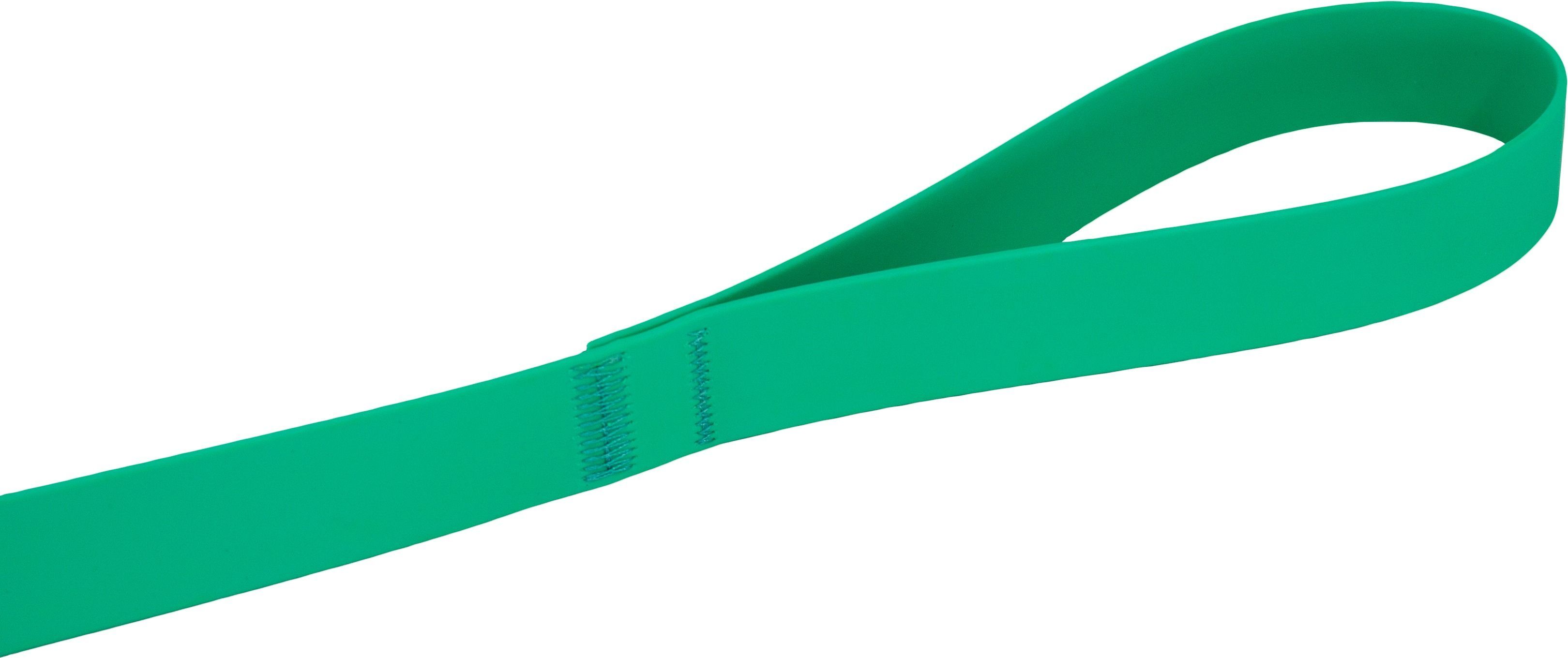 Поводок для собак Lucky Pet 2,5*120см с водонепроницаемой ленты мятный фото 3