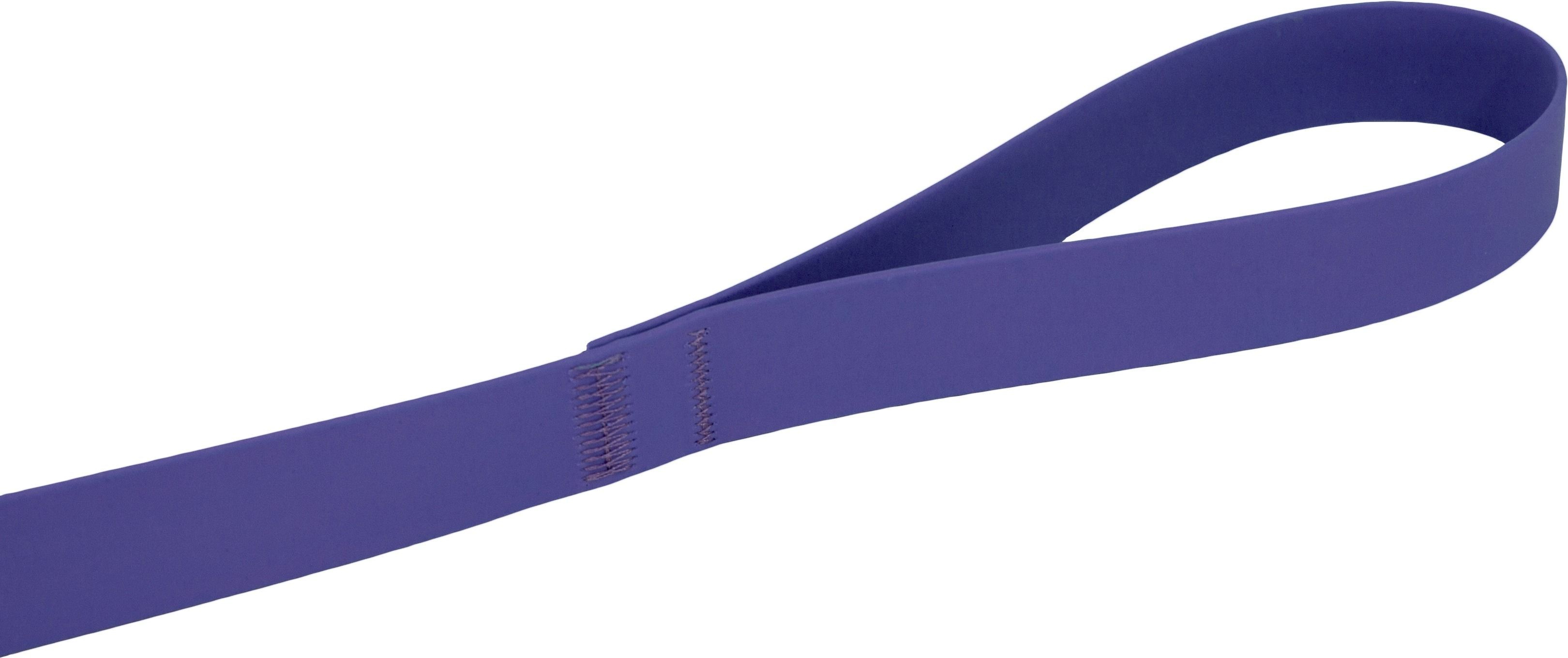 Поводок для собак Lucky Pet 2,5*120см с водонепроницаемой ленты синий фото 3