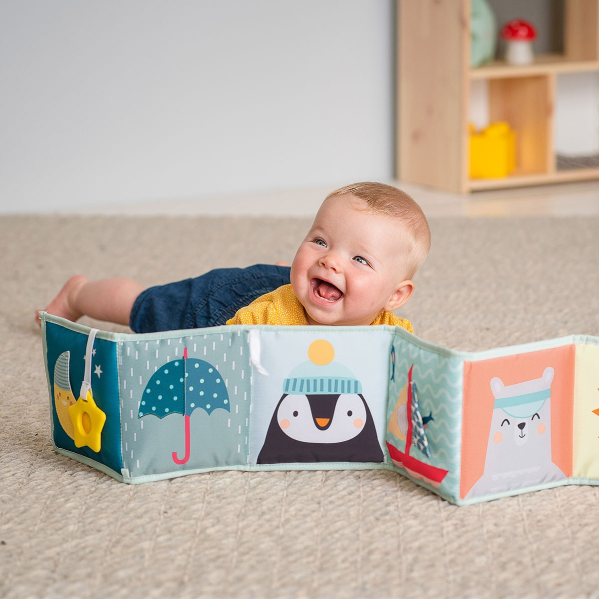 Развивающая книжка-раскладушка коллекции 