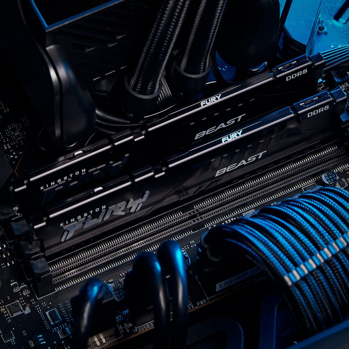 Пам'ять для ПК Kingston DDR5 16GB KIT (8GBx2) 5600 FURY Beast Black EXPO (KF556C36BBEK2-16)фото