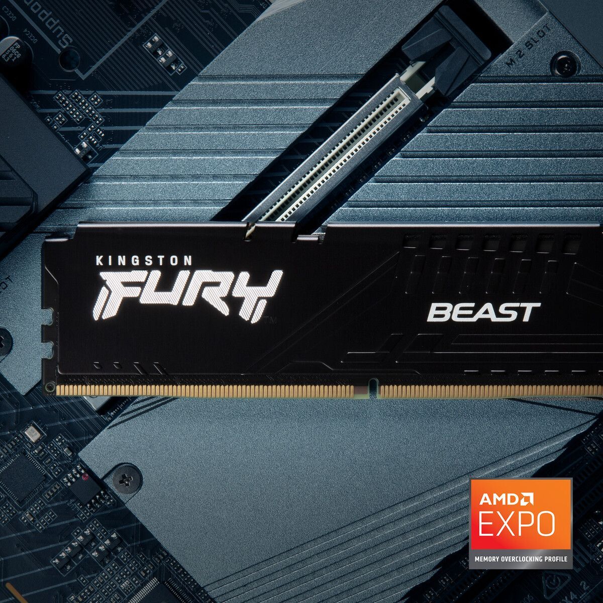 Пам'ять для ПК Kingston DDR5 16GB KIT (8GBx2) 5600 FURY Beast Black EXPO (KF556C36BBEK2-16)фото