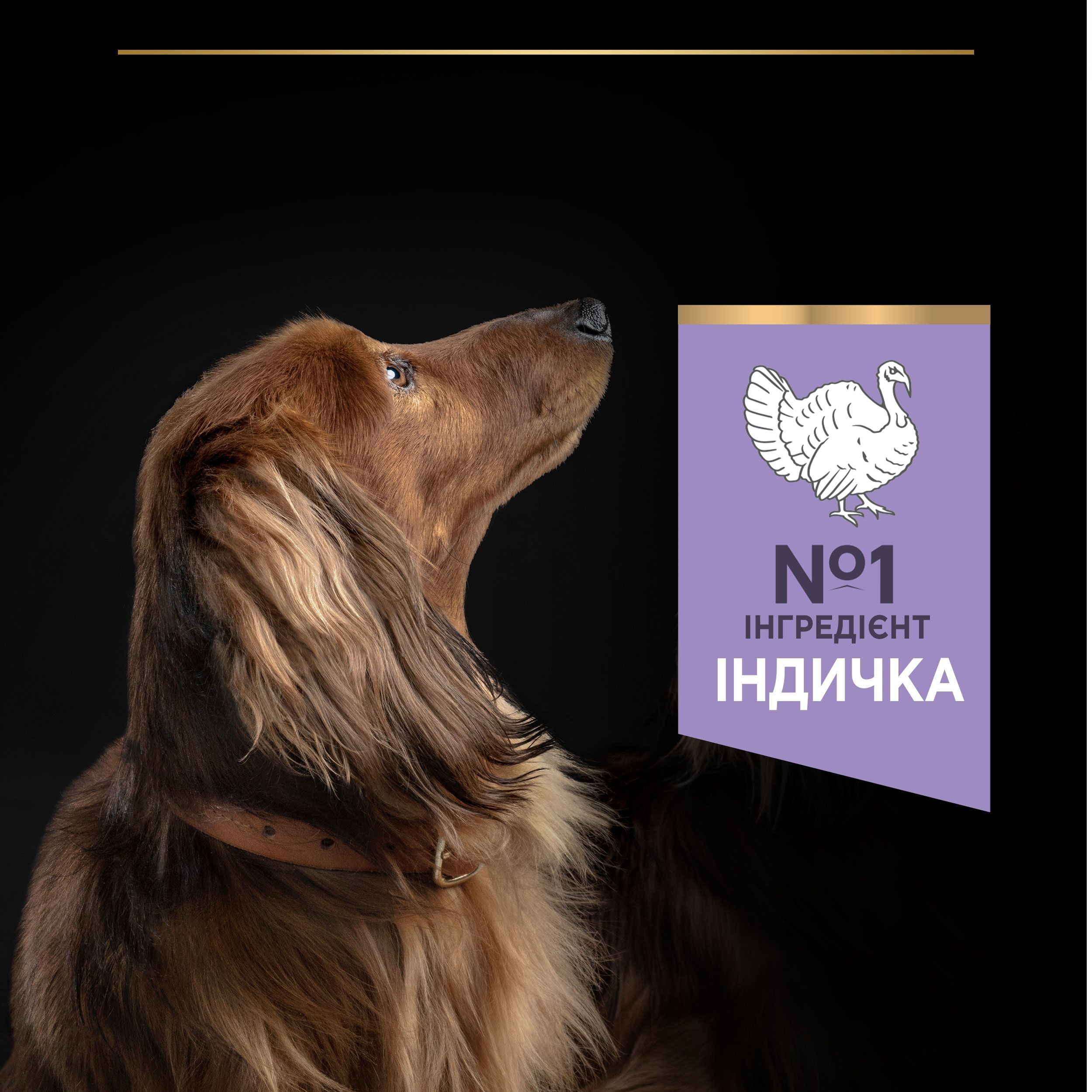 Сухой корм для собак с чувствительным пищеварением Purina Pro Plan Small&Min 1+ Sensitive Digestion с индейкой 2,5 кг фото 6