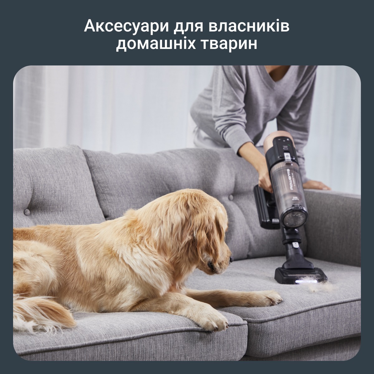 Аккумуляторный пылесос Rowenta X-Force Flex 14.80 Auto Animal RH9B74WO фото 