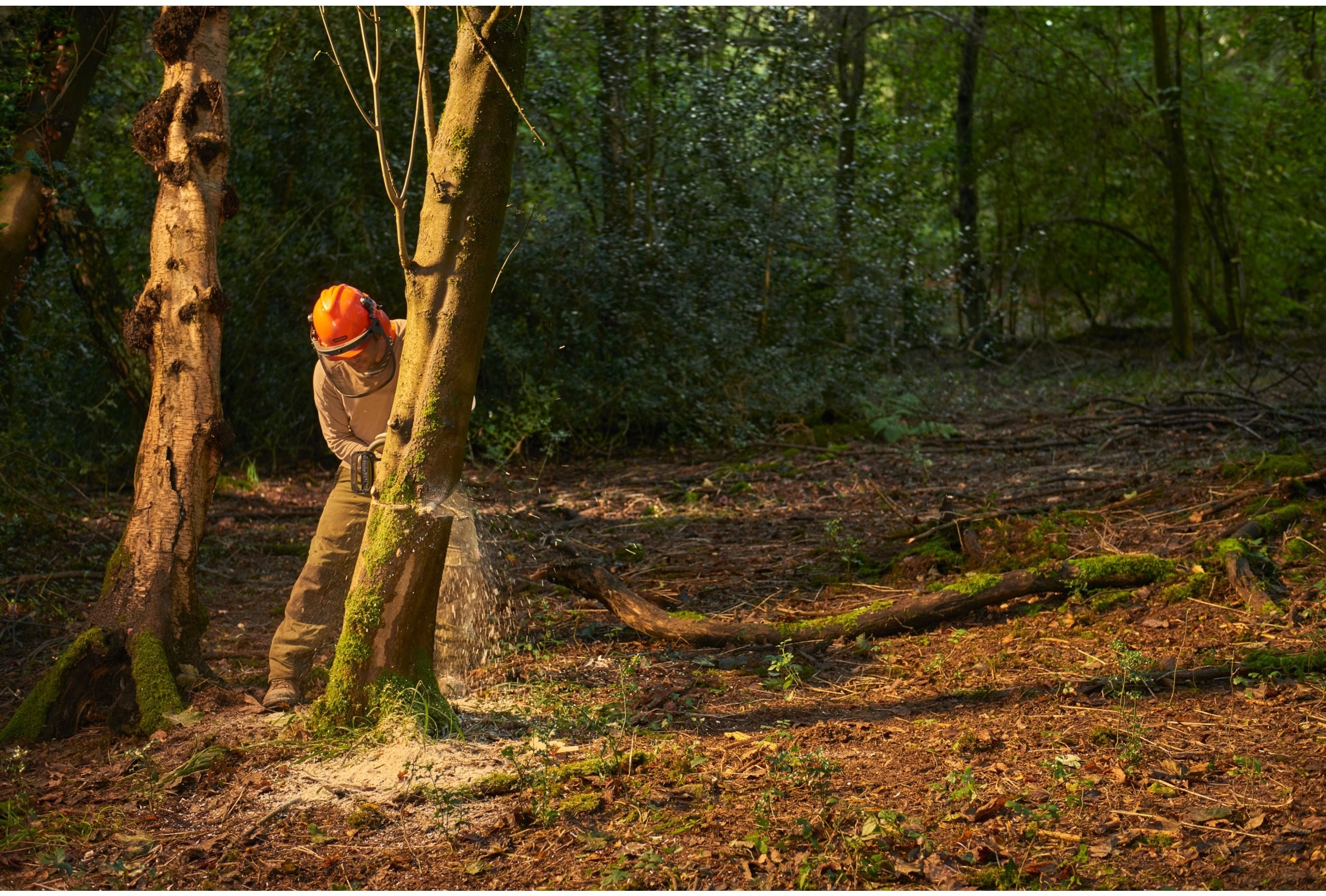 Пила ланцюгова акумуляторна Ryobi Max Power RY36CSX35A-150 36В, 1х5А·ч (5133004596)фото