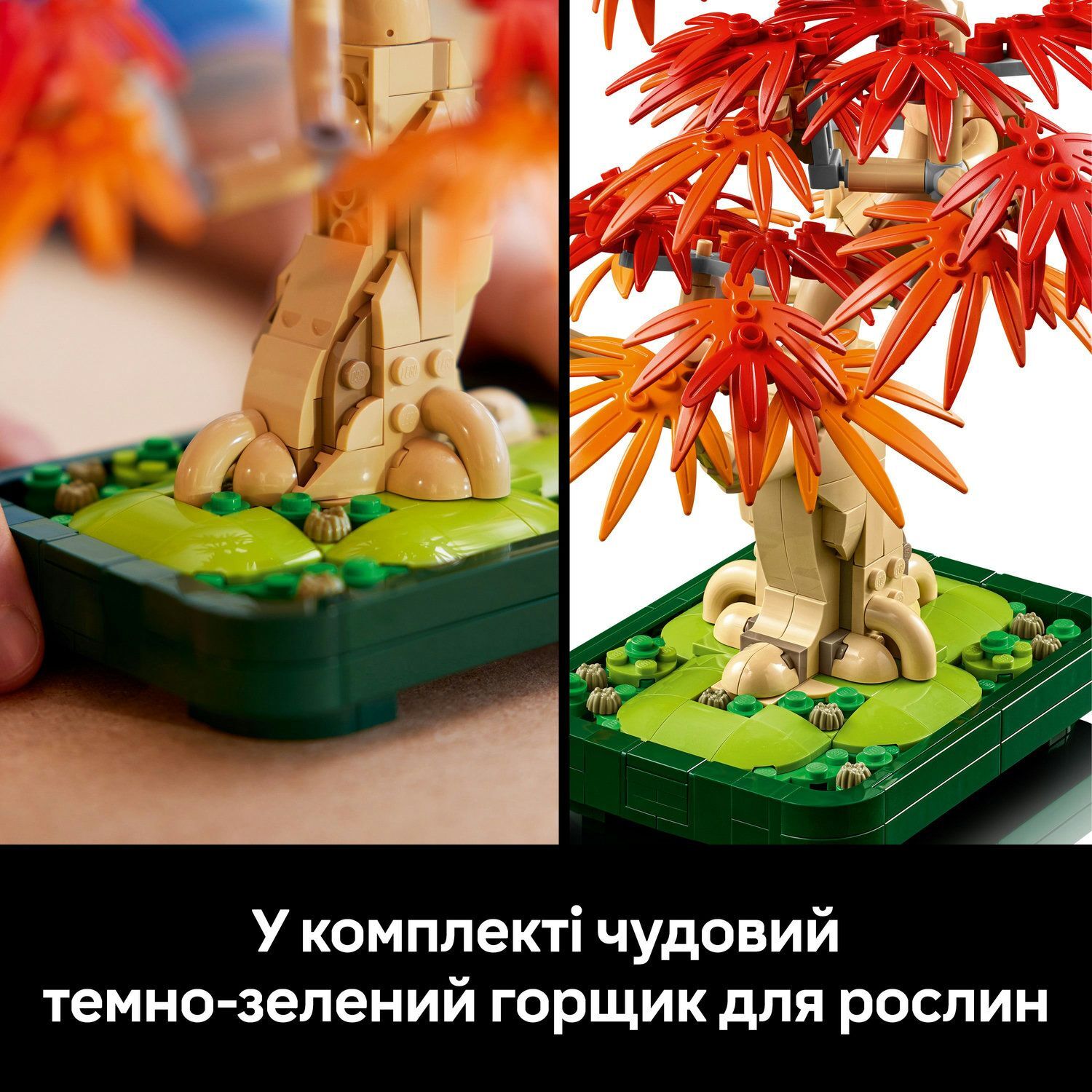 LEGO 10348 Botanicals Бонсай с японского красного клена фото 8