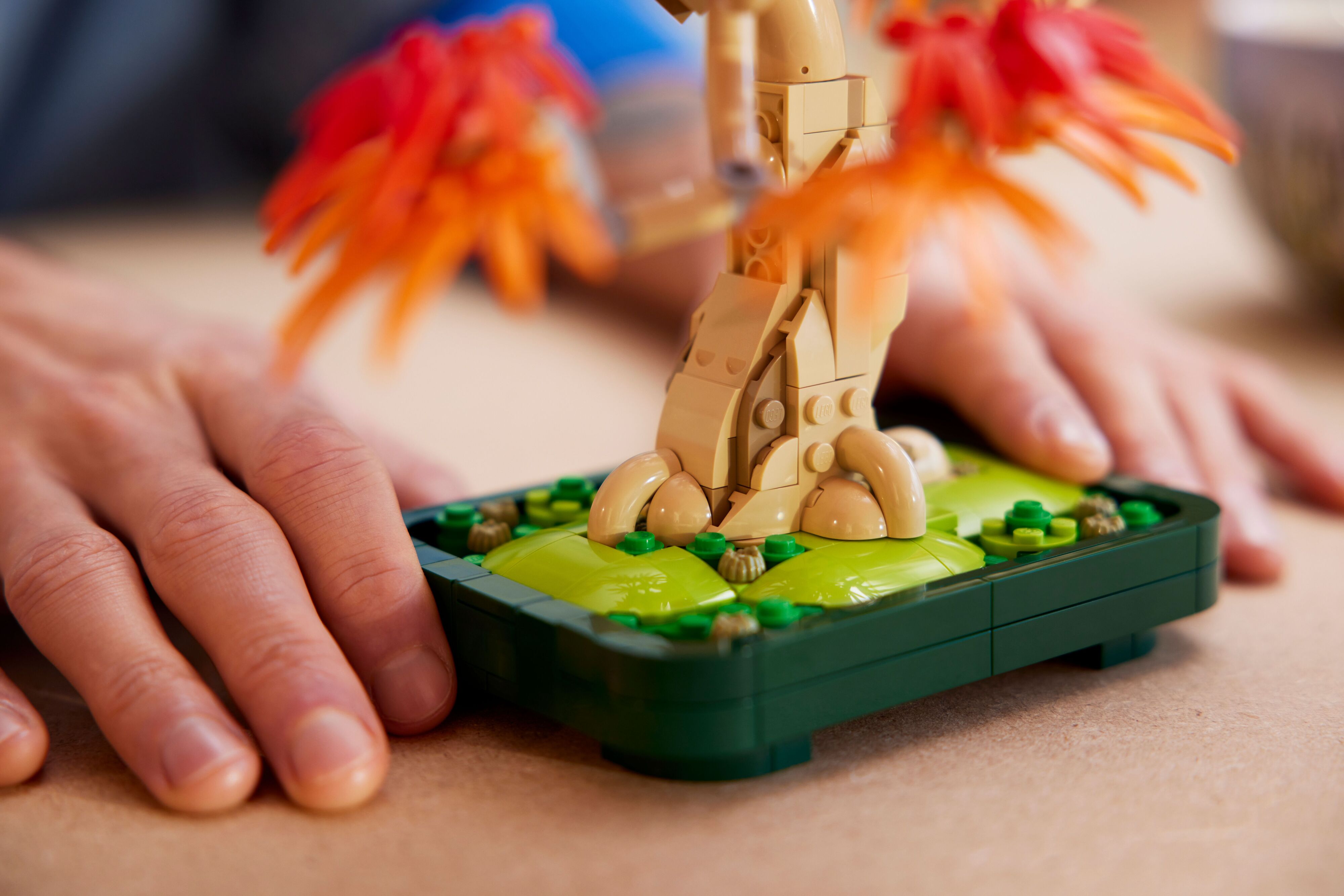 LEGO 10348 Botanicals Бонсай с японского красного клена фото 11