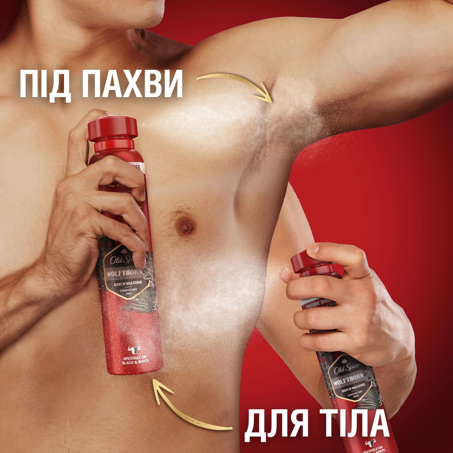 Дезодорант Аерозольний Old Spice Wolfthorn 250млфото