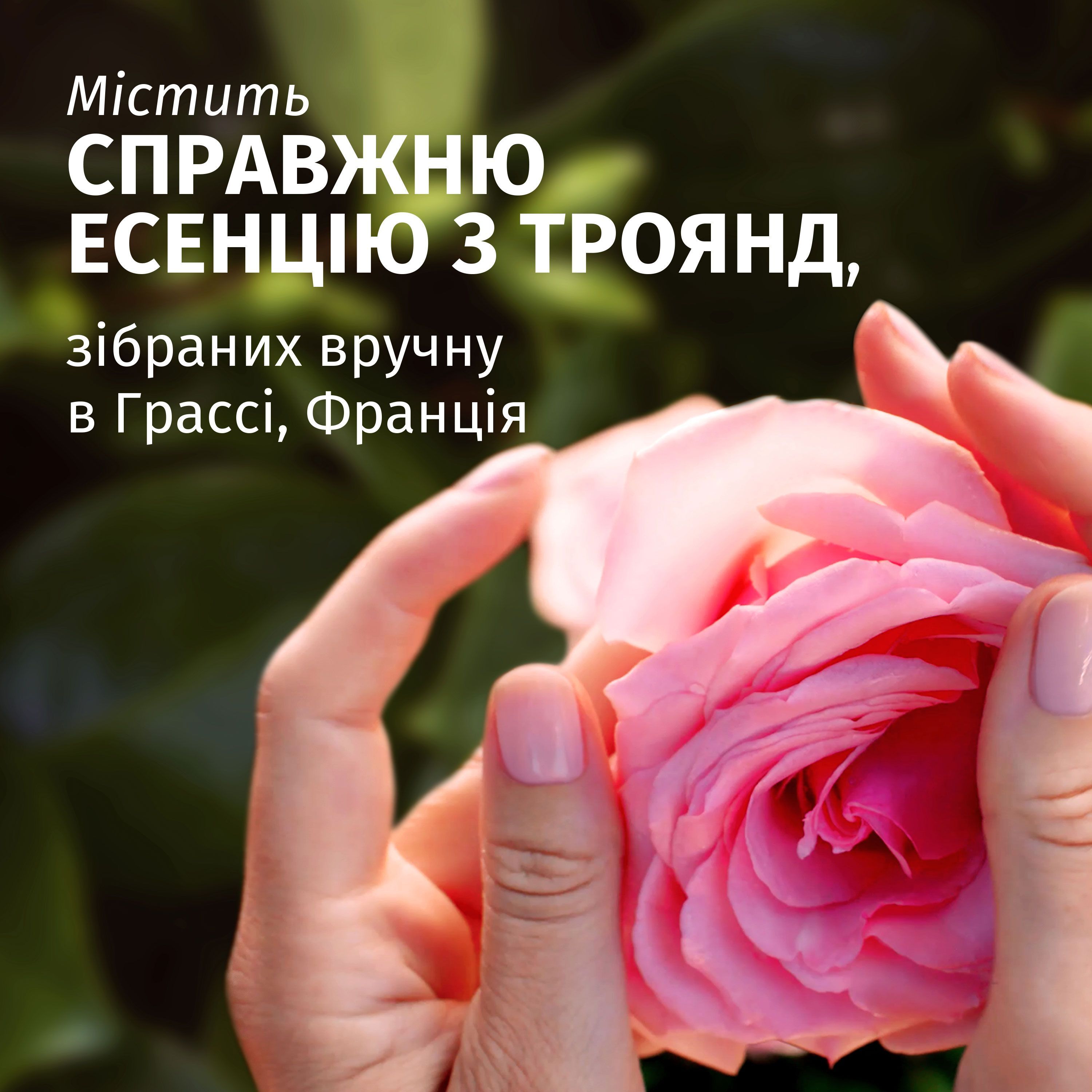 HERBAL ESSENCES Бальзам-ополаскиватель не требующий смывания Аромат розы 145мл фото 6