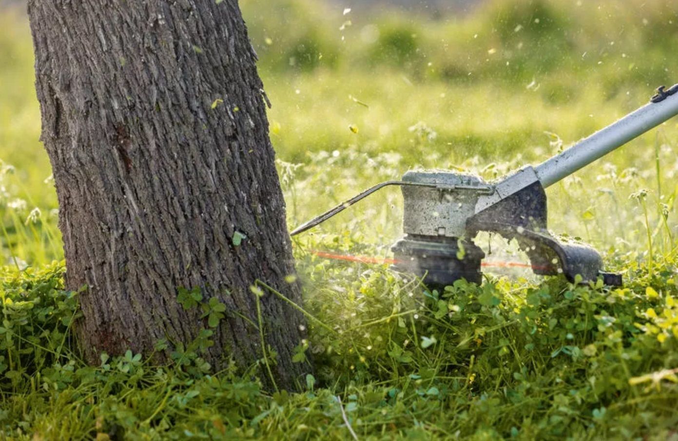 Тример садовый аккумулятор Bosch Professional GRT 18V-33 18V (без АКБ и ЗУ), (0.600.8D0.000) фото 5