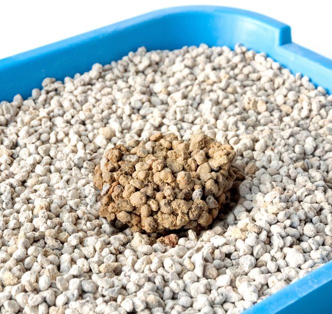 Наполнитель бентонитовый натуральный для кошачьих туалетов Тигра макси 2,5-5 мм 5 кг фото 2