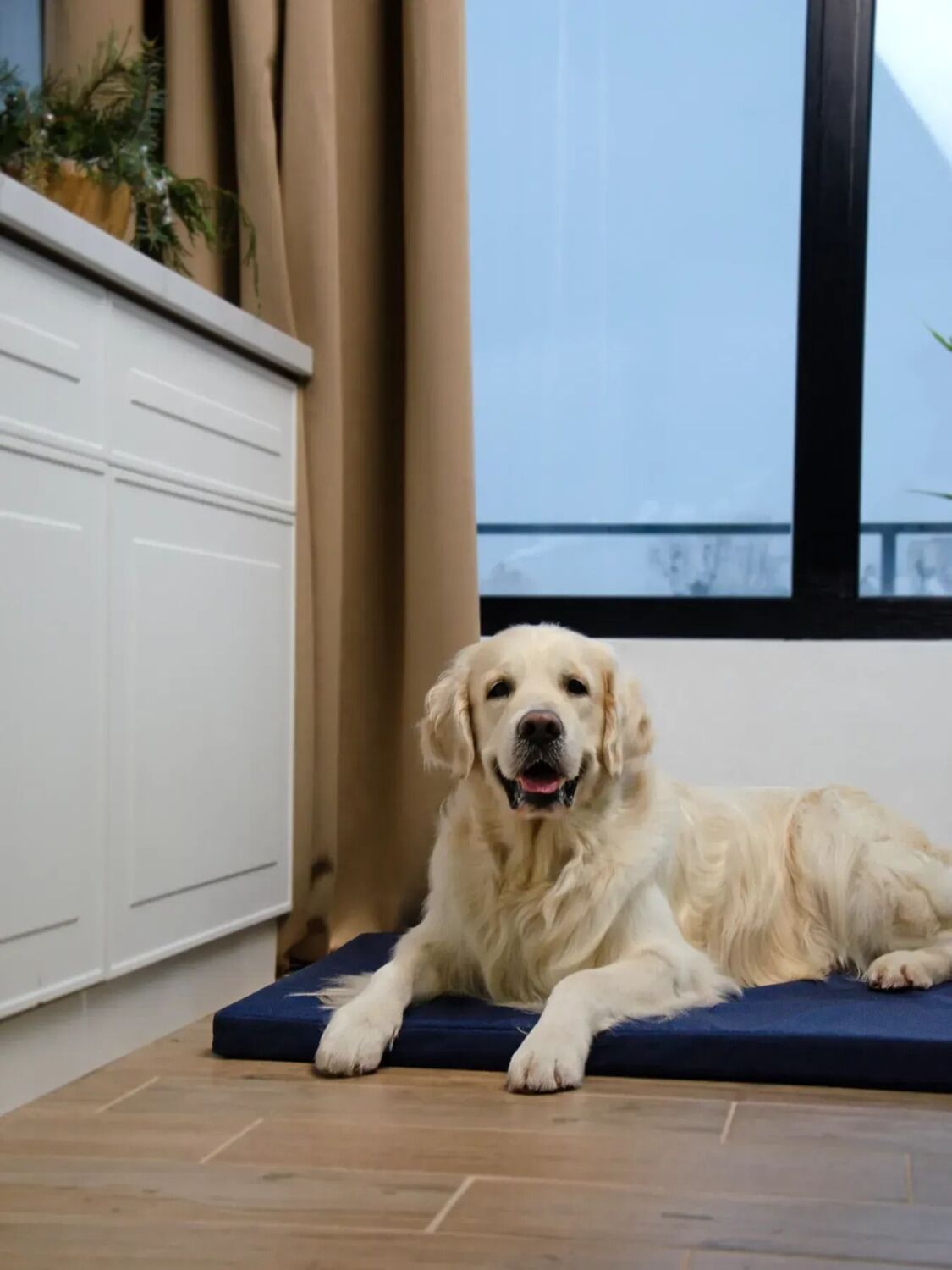 Матрас Lucky Pet №1 Харлей Синий 40x50x5 фото