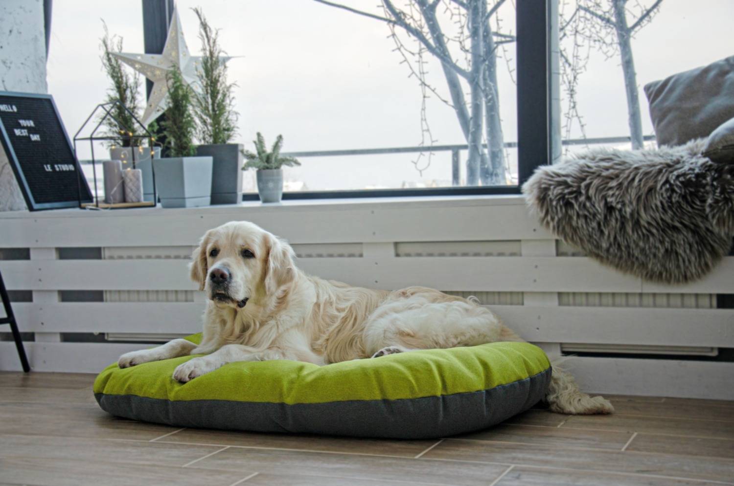 Лежак-Подушка Lucky Pet №1 Морфей Салатовый 40x50 фото