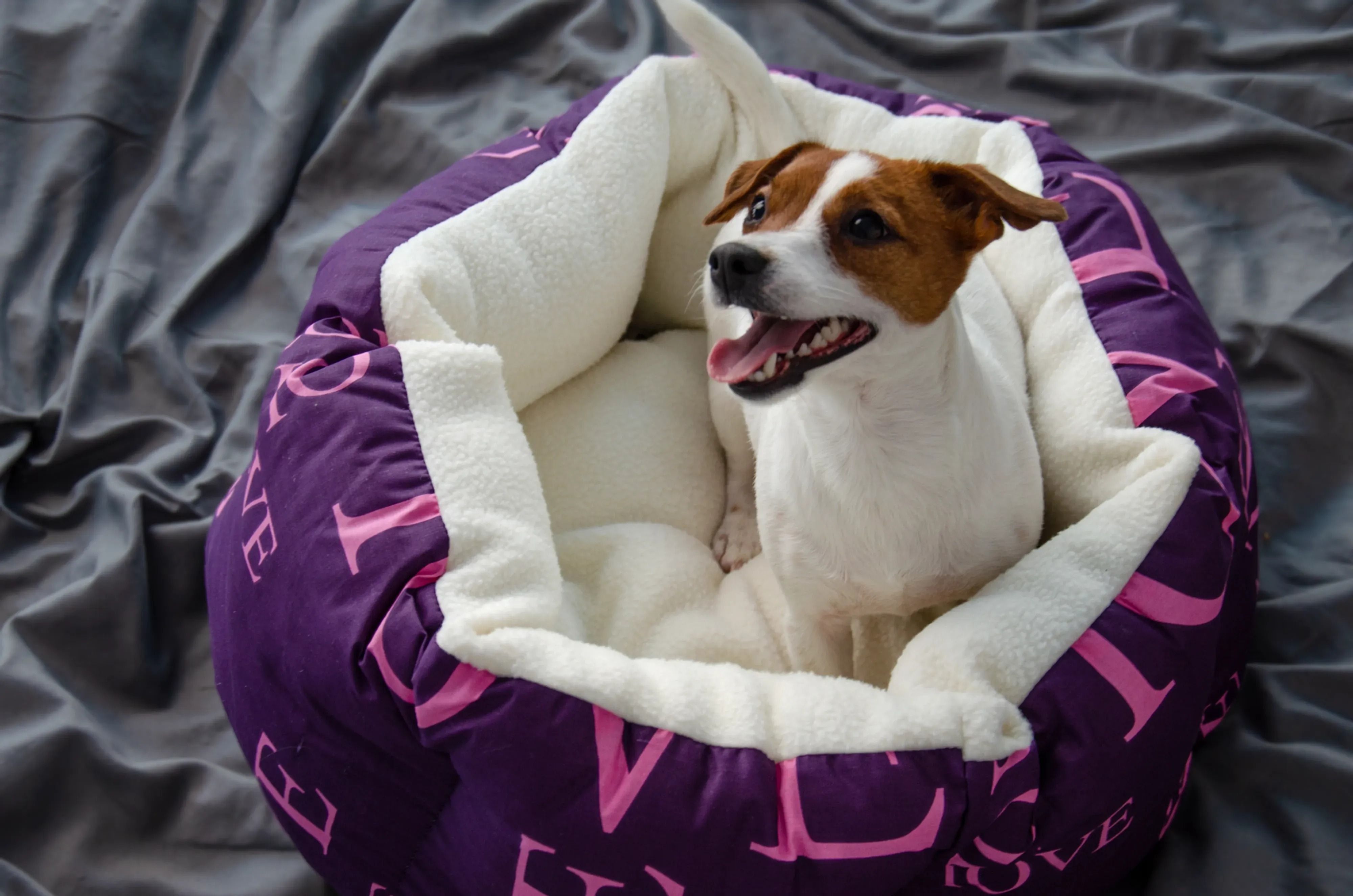 Лежак Lucky Pet №2 Арчі Фіолетовий 50x60фото