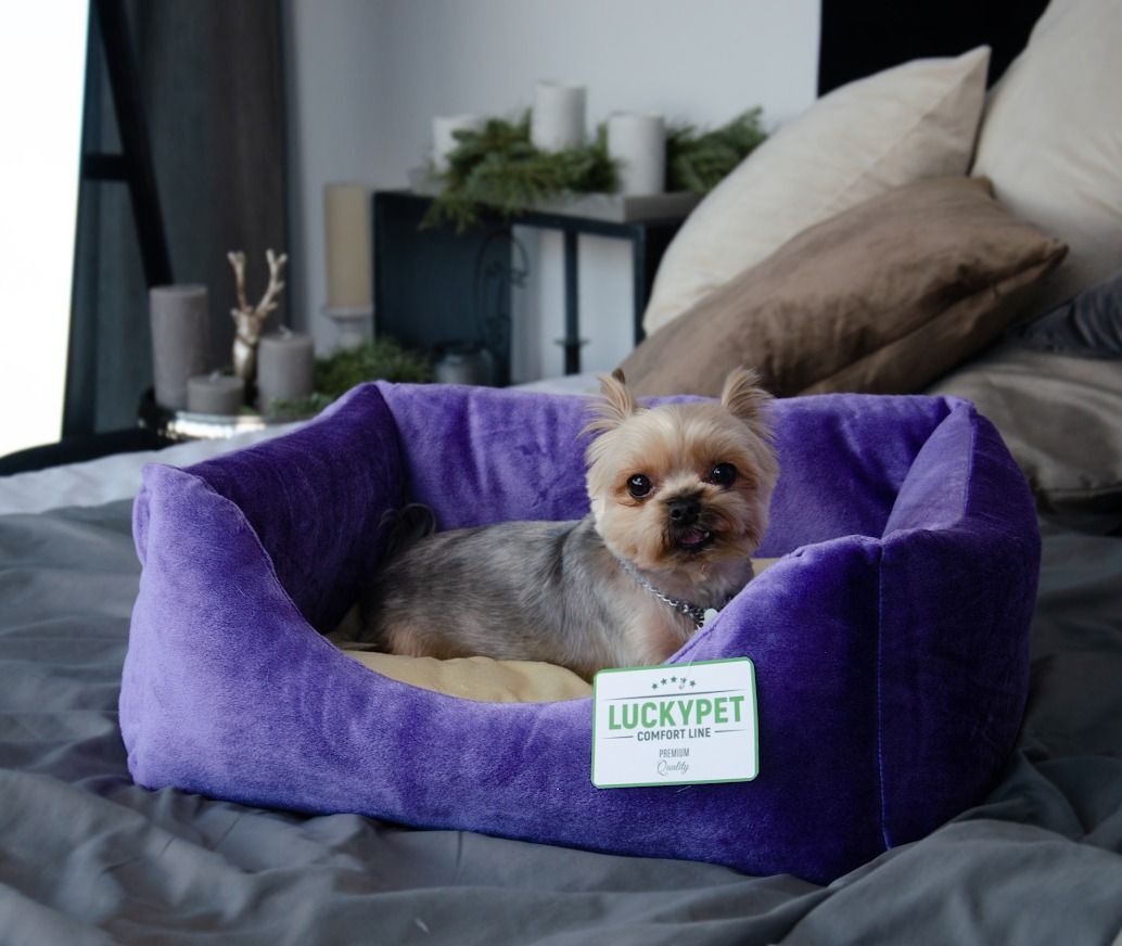 Лежак Lucky Pet №1 Рольф Фіолетово-кремовий 40x50x22фото