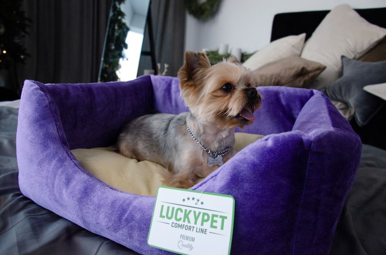 Лежак Lucky Pet №1 Рольф Фіолетово-кремовий 40x50x22фото