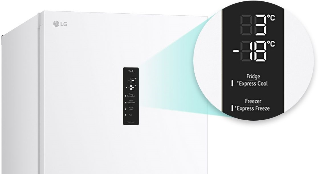 Холодильник LG GW-B509FVFWфото