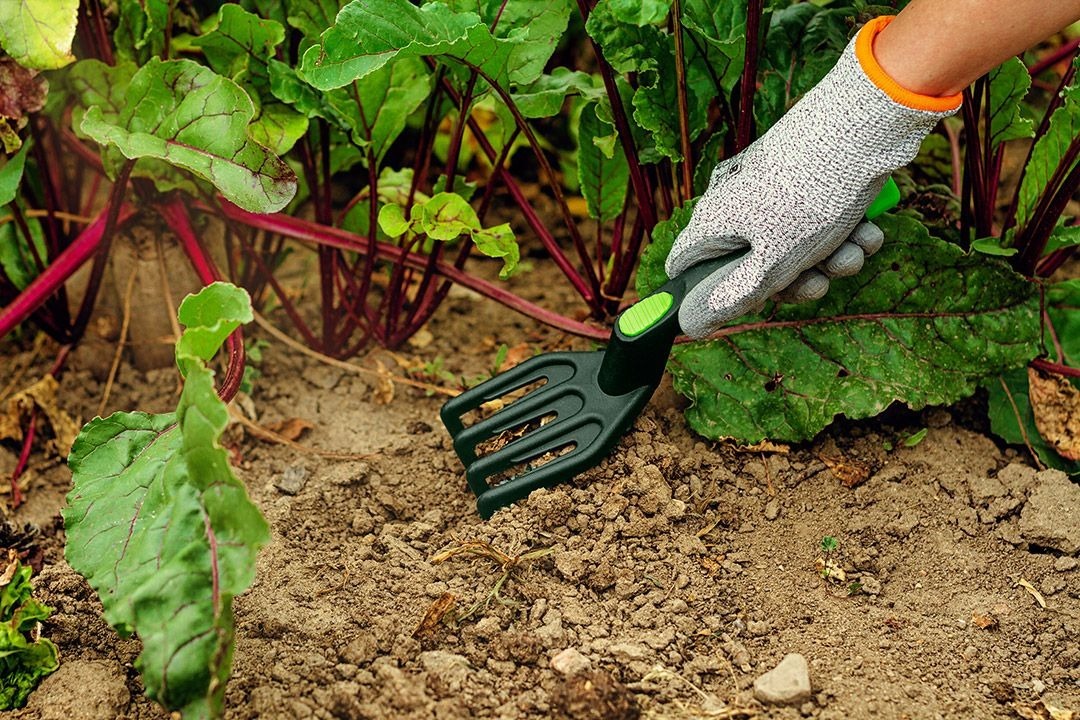 Разрыхлитель Verto, 25.8см (15G415) фото 6