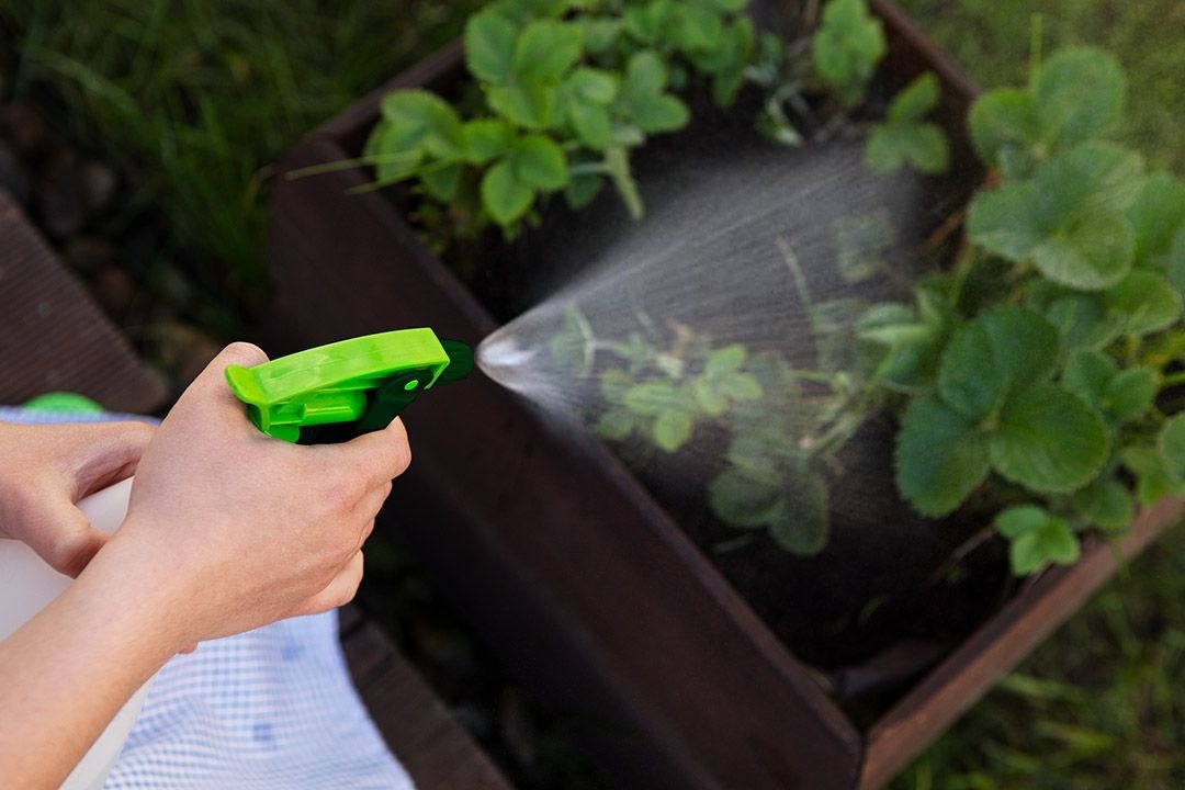 Опрыскиватель ручной Verto пластик 0.550л (15G545) фото 9