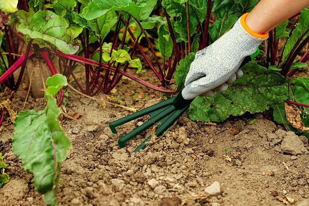 Разрыхлитель Verto, 27.8см (15G416) фото 6