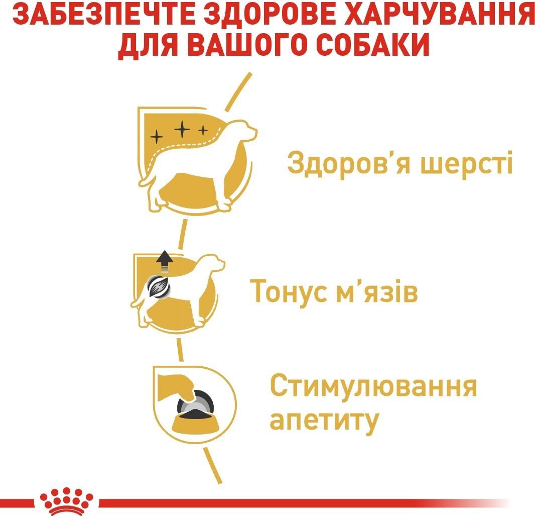 Влажный корм Royal Canin Poodle Loaf паштет для взрослых собак породы Пудель 85 г фото 2