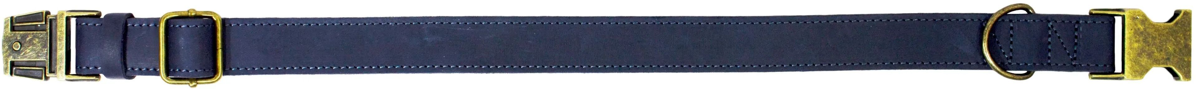 Нашийник Lucky Pet шкіряний подвійний фурнітура синій 2,5/35-45смфото2