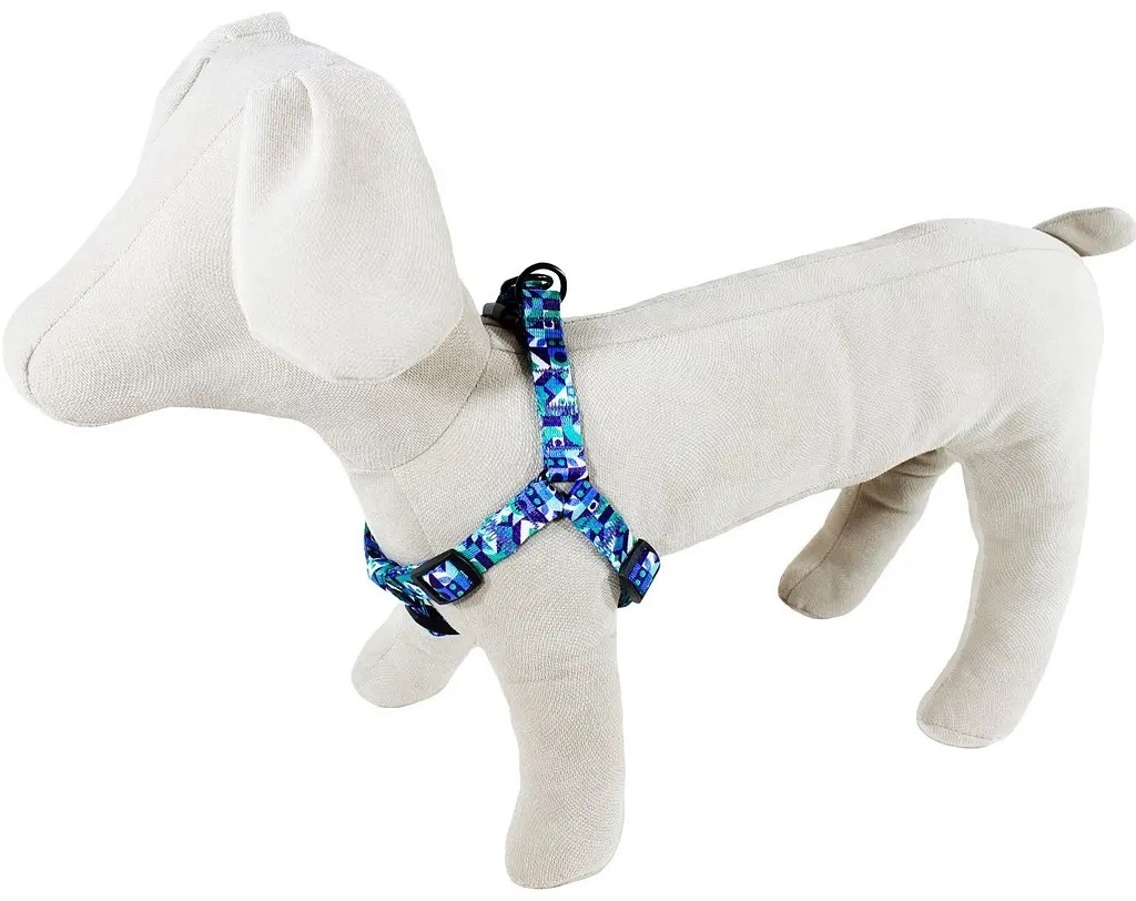 Шлея Lucky Pet капроновая Геометрия голубая 25мм/50-81см фото 2