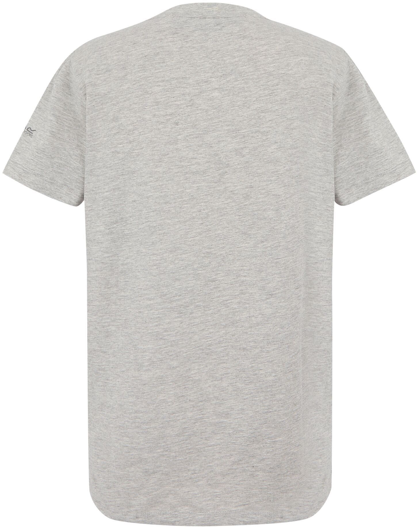 Футболка женская Regatta FilandraIX RWT327-5L8 10 серая фото 2