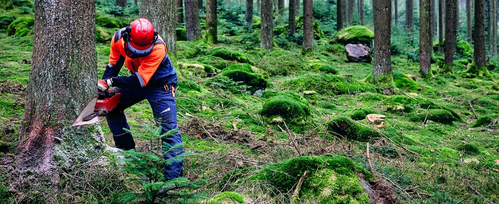 Пила цепная аккумуляторная Einhell GP-LC 36/40 Li BL (без АКБ и ЗУ), (4600050) фото 