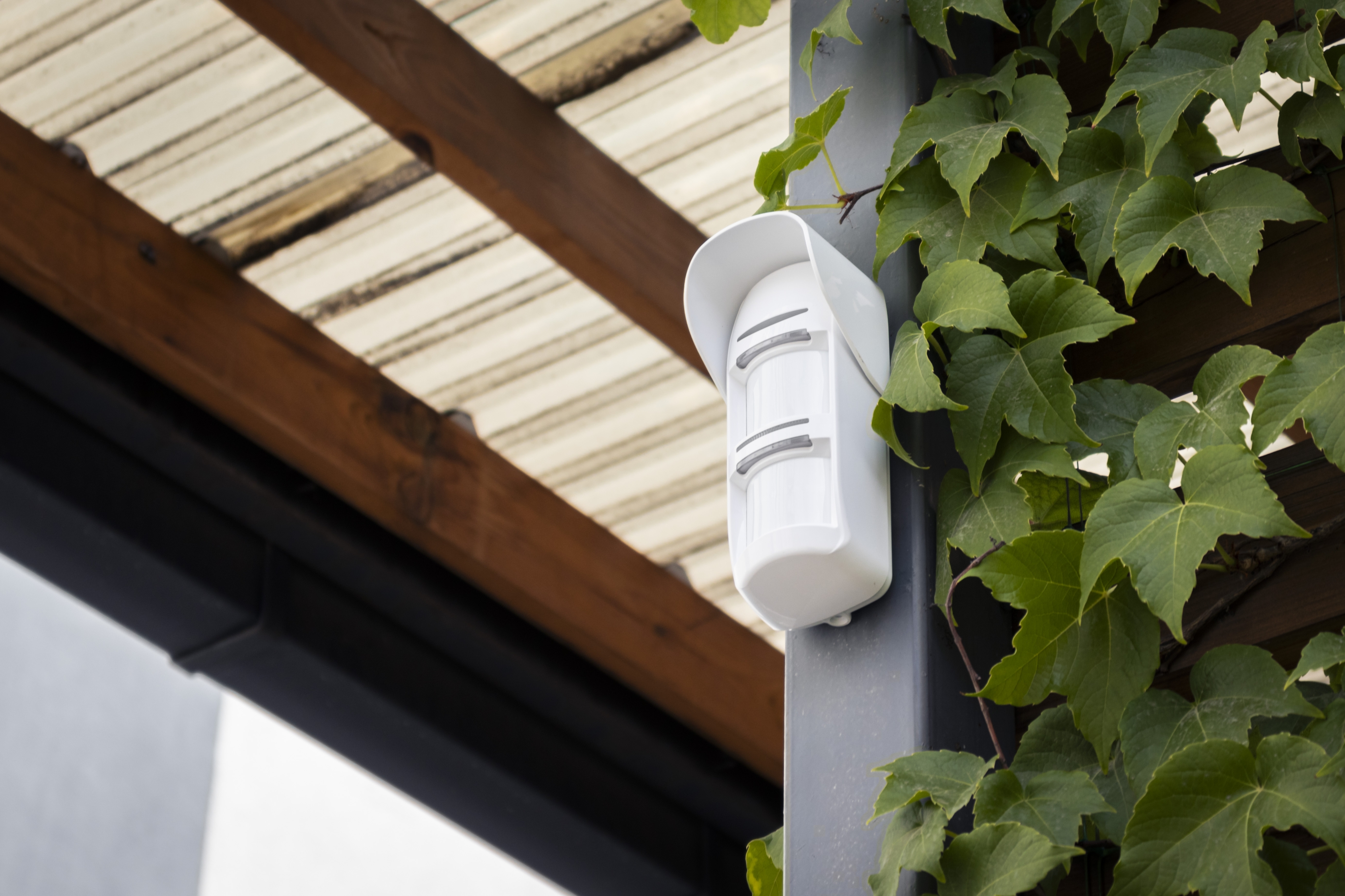 Датчик движения уличный U-PROX PIR Outdoor V2, White (4820261370621) фото 15