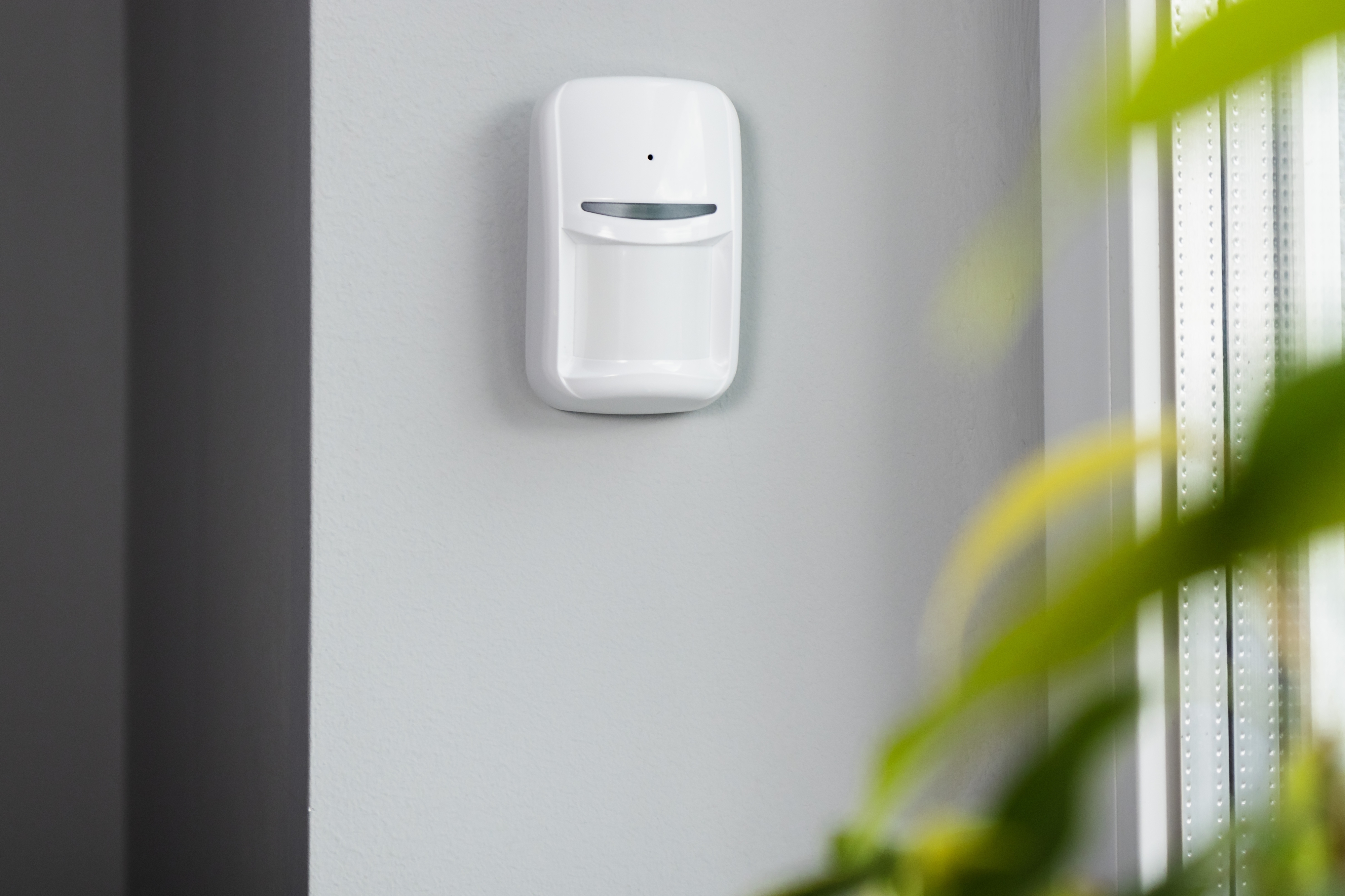 Датчик руху та розбиття скла типу "штора" U-PROX PIR Combi VB, White (4820261372281)фото