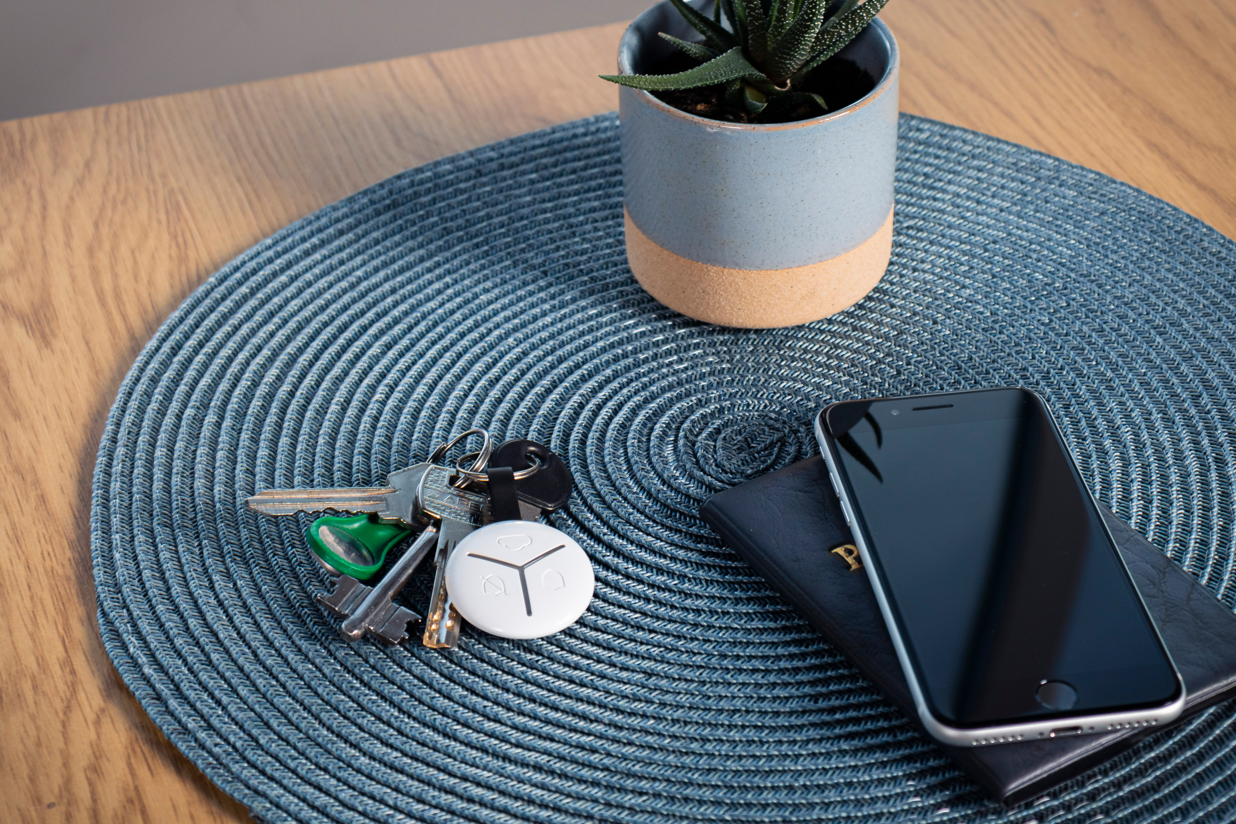 Брелок U-PROX Keyfob, White (4820261370294) фото 7