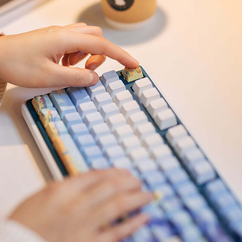 Кейкапи Varmilo Van Gogh Cherry Profile, 130 шт (130K-110FA-R-V)фото4