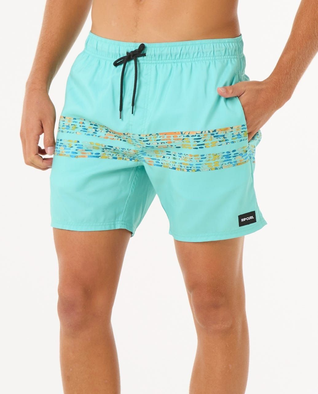 Шорты пляжные мужские Rip Curl Framed Volley Update 0BAMBO_0046 M голубые фото 