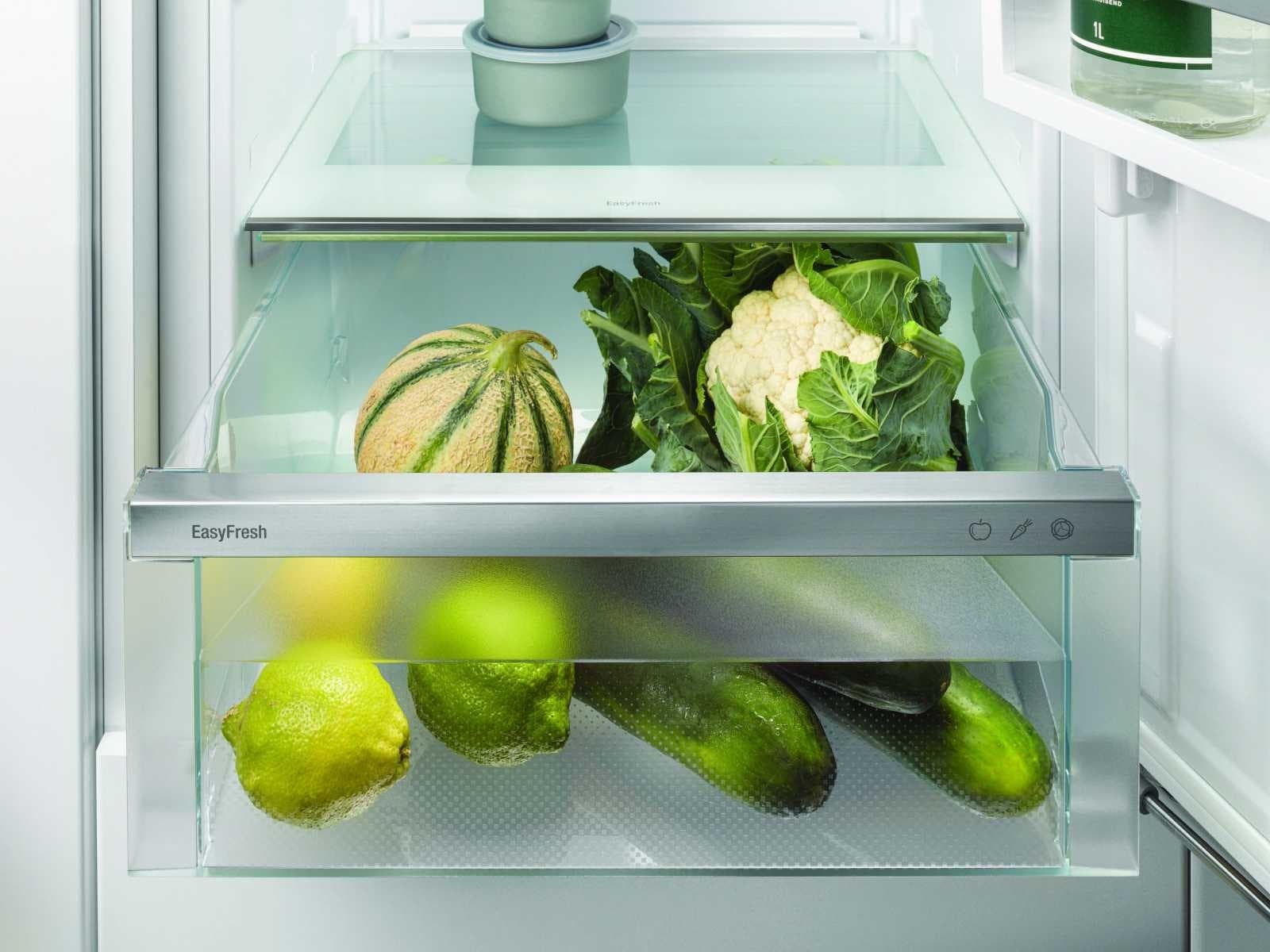 Вбудований холодильник Liebherr ICND5603фото