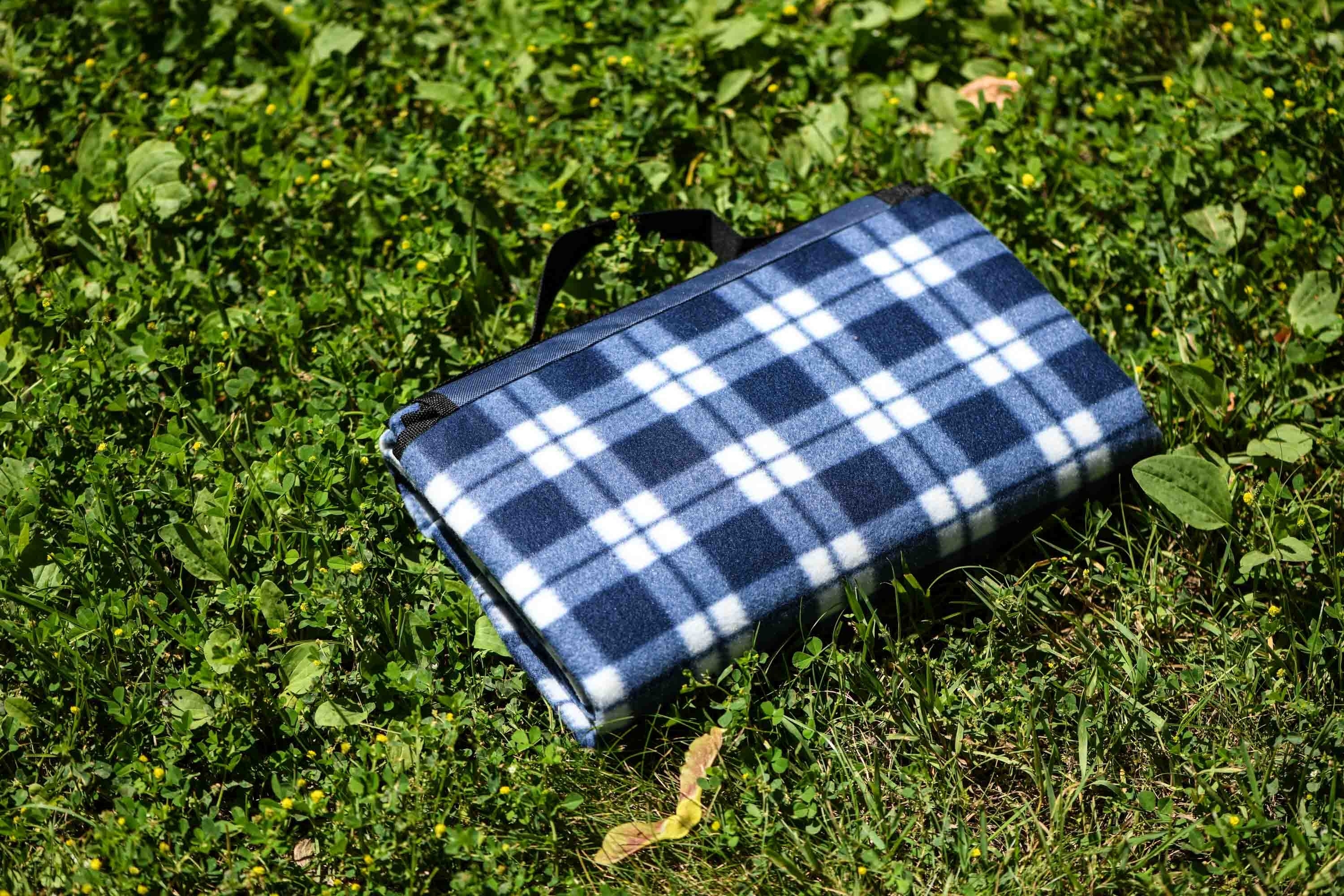 Плед ARDESTO Picnic 130х170см, 100% полиэстер, клеточка синий (ART0916BC) фото 2