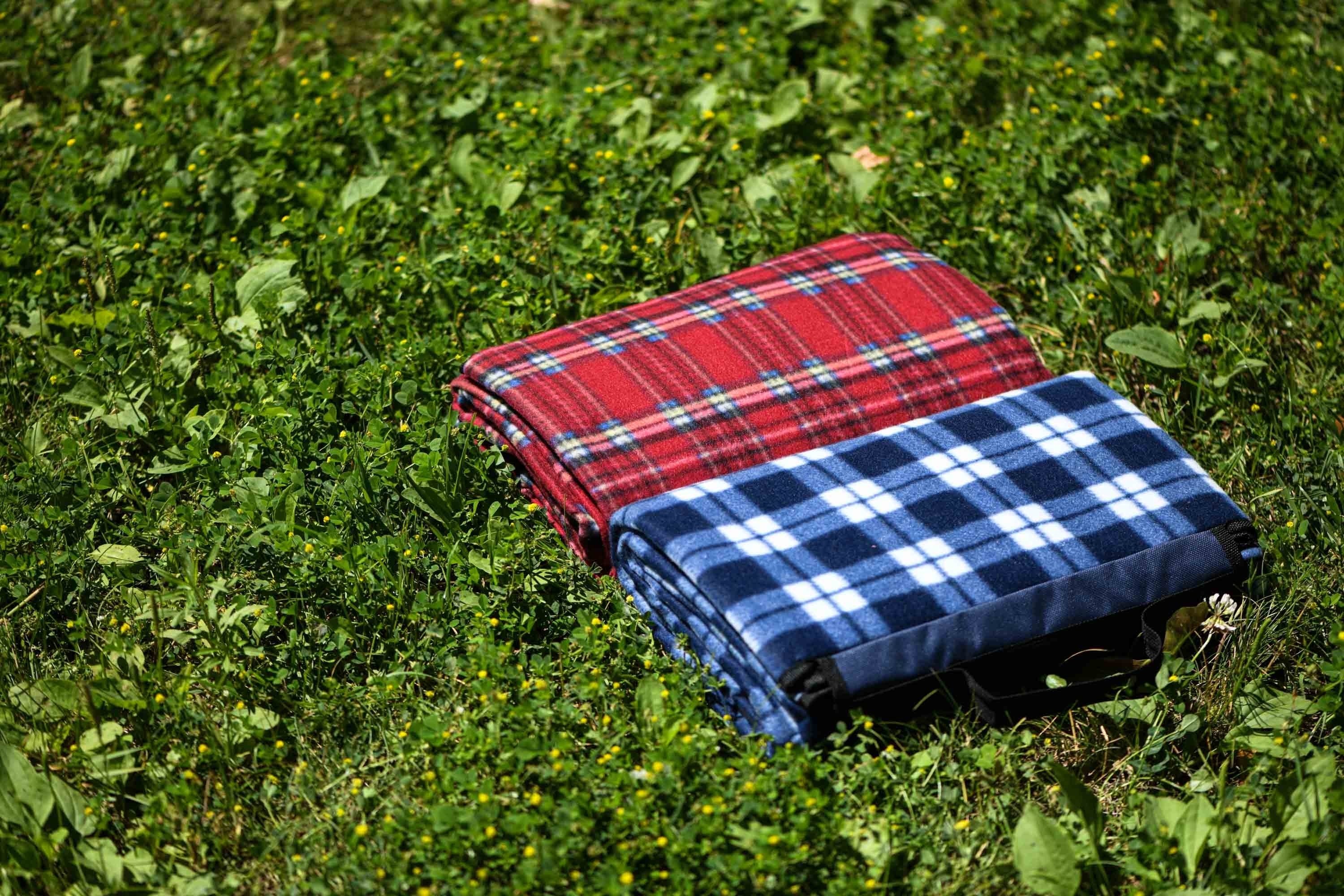 Плед ARDESTO Picnic 130х170см, 100% полиэстер, ячейка красная (ART0916RC) фото 8