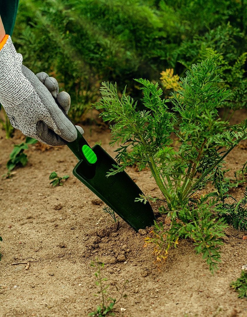 Совок садовый Verto, 28.4см (15G413) фото 6