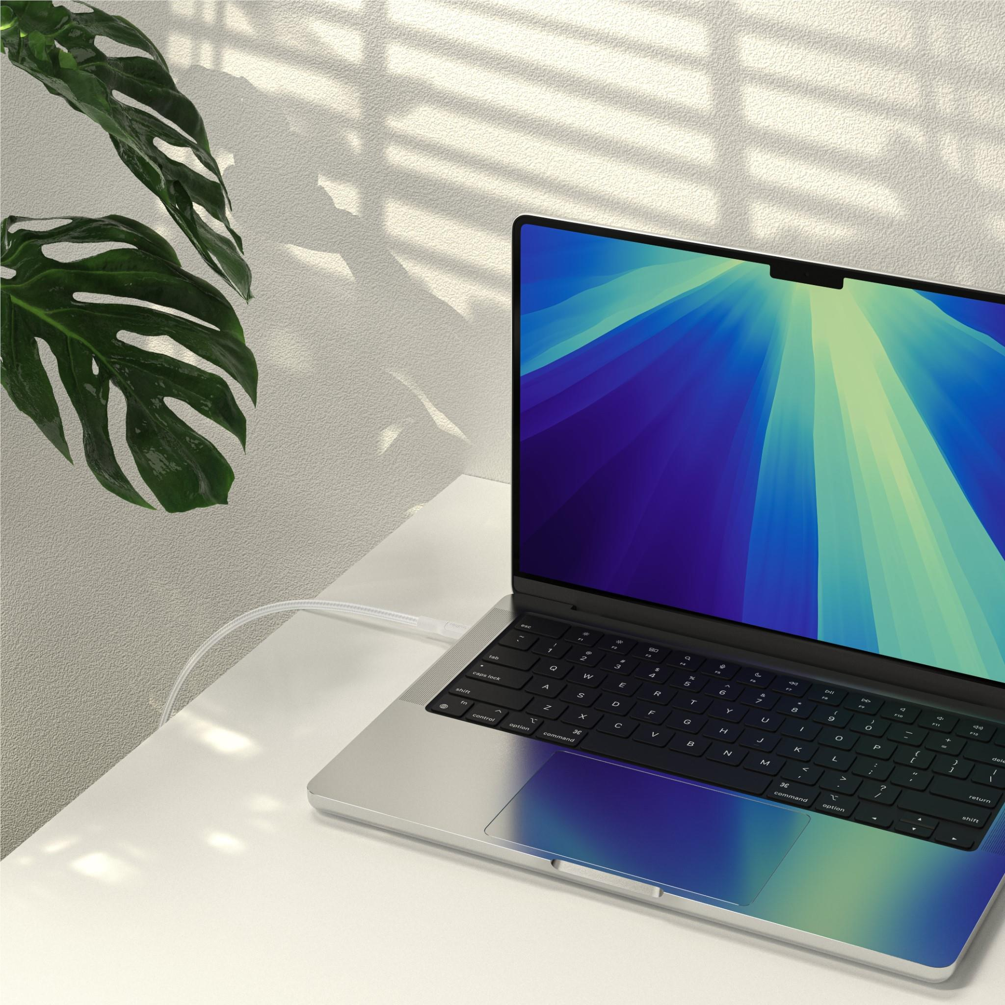 Кабель Belkin Type-C - Type-C 240W плетений 1м, White (CAB025HQ1MWH)фото3