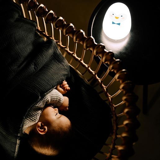 Ночник Suavinex – пингвин (401145) фото 6