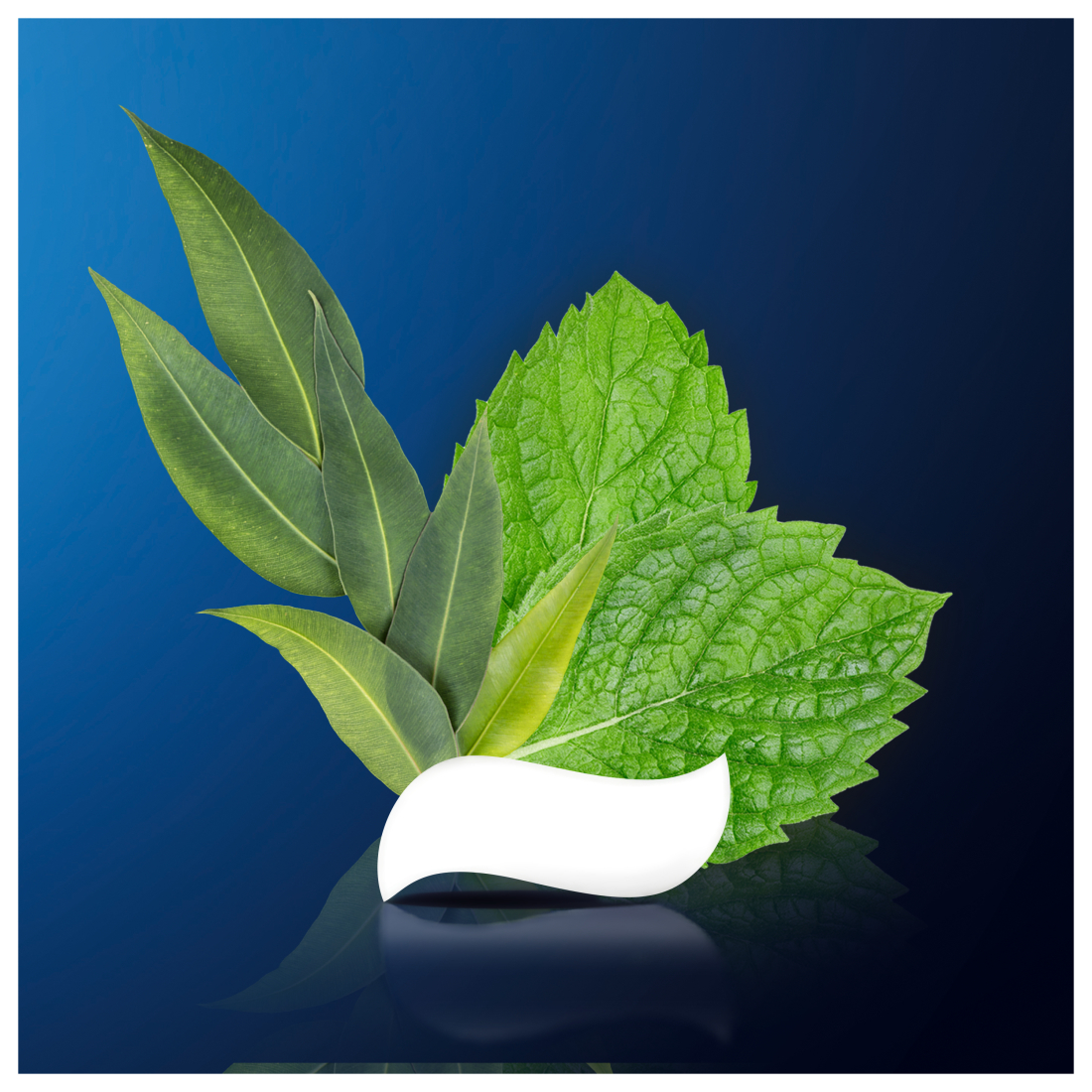 Зубная паста Oral-B Pro-Repair Деликатное отбеливание 75мл фото 