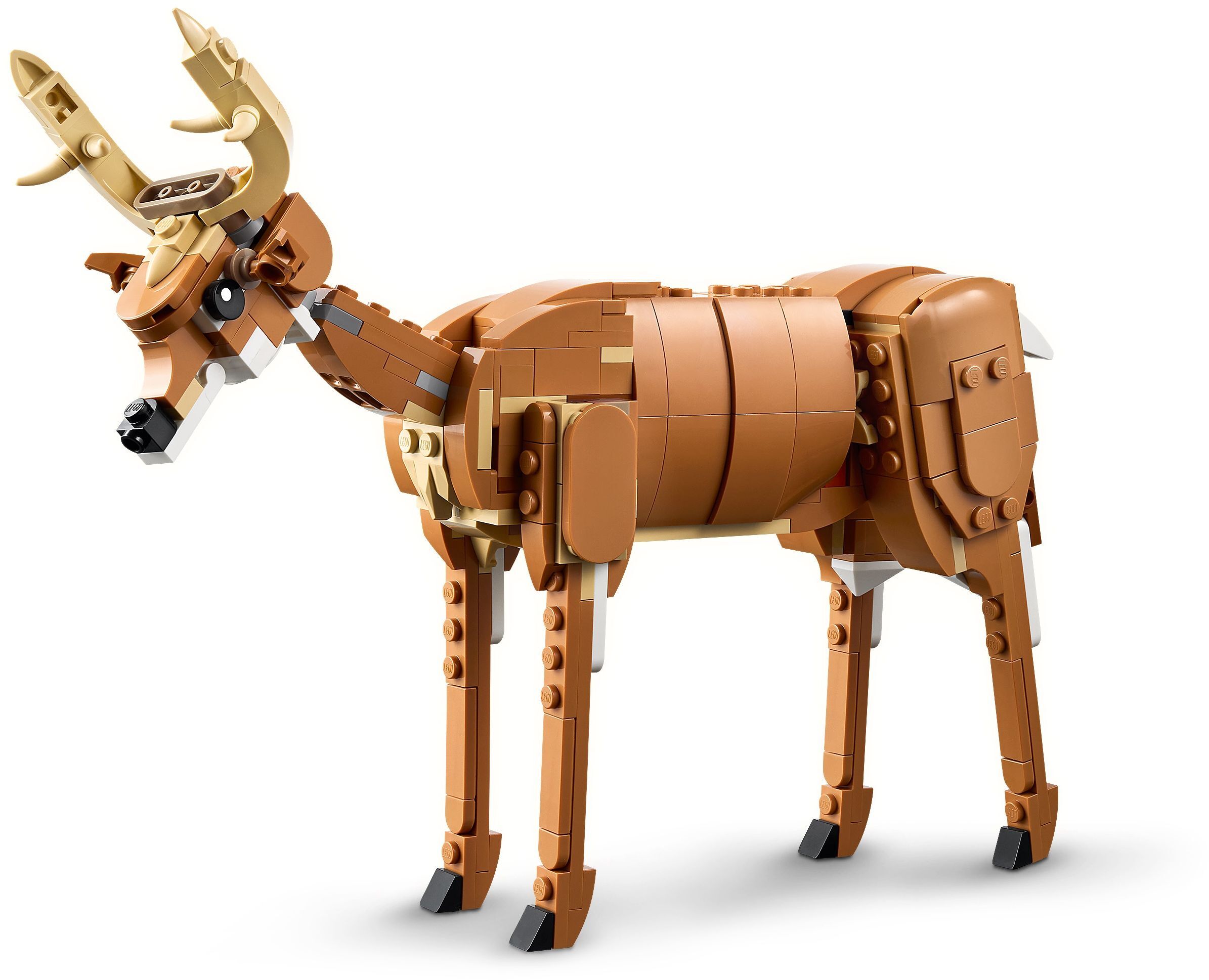 LEGO 31166 Creator Прекрасний кіньфото5