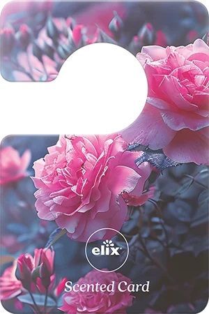 Аромасаше для гардеробу Elix Rose Garden 3 шт фото