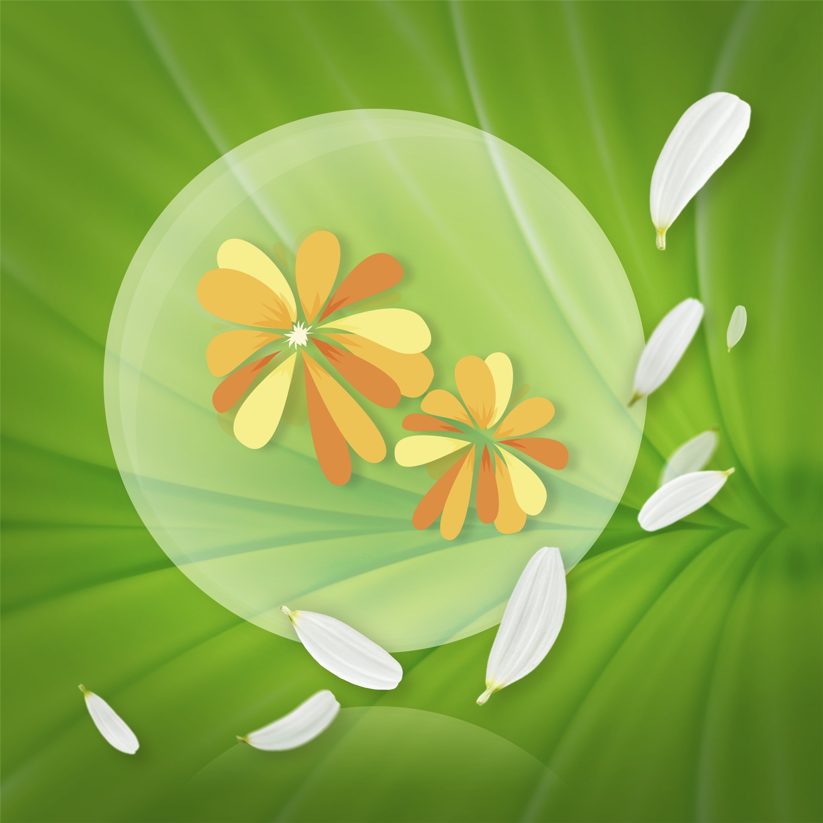 Ежедневные прокладки Naturella Calendula Plus 20 шт фото 