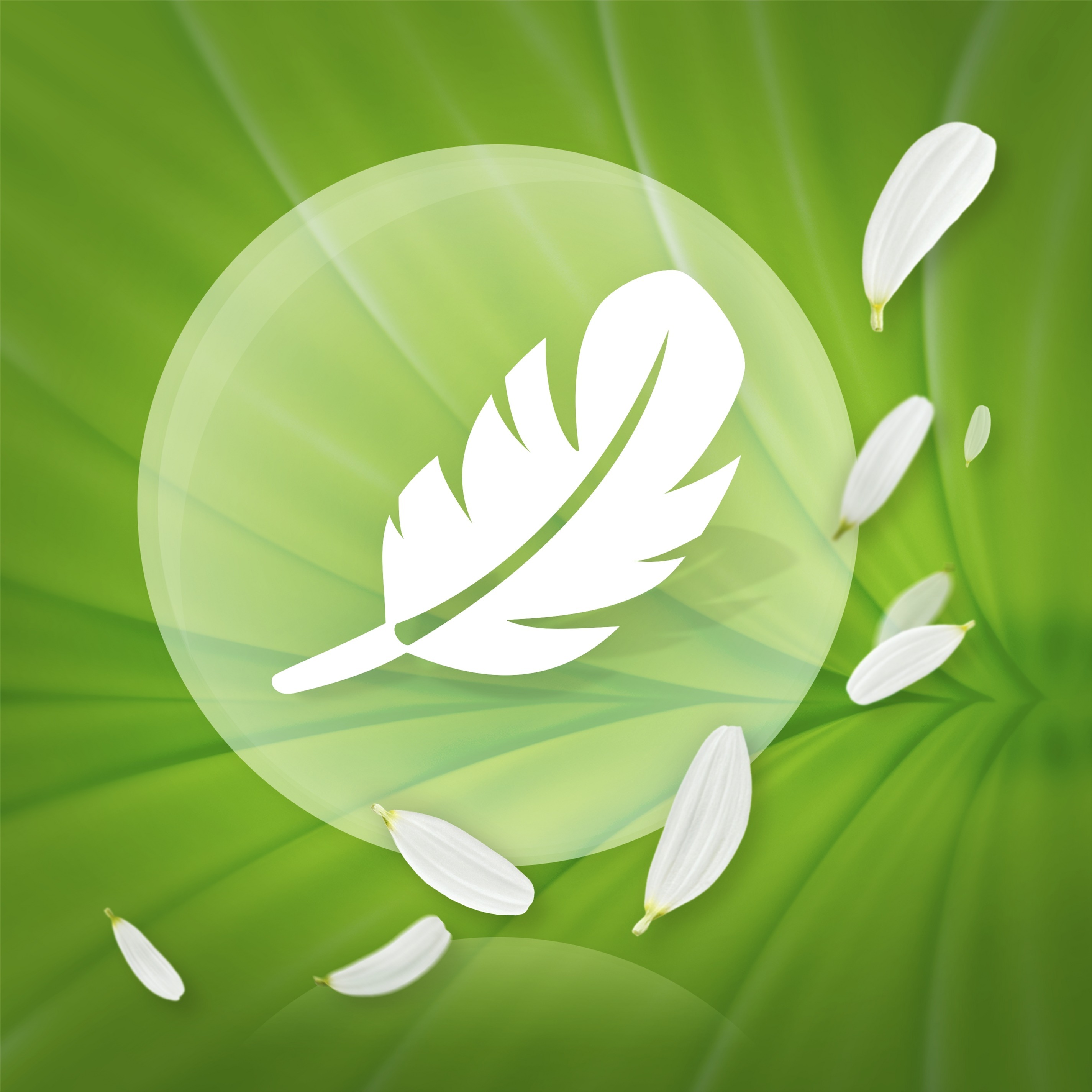 Ежедневные прокладки Naturella Calendula Plus 20 шт фото 