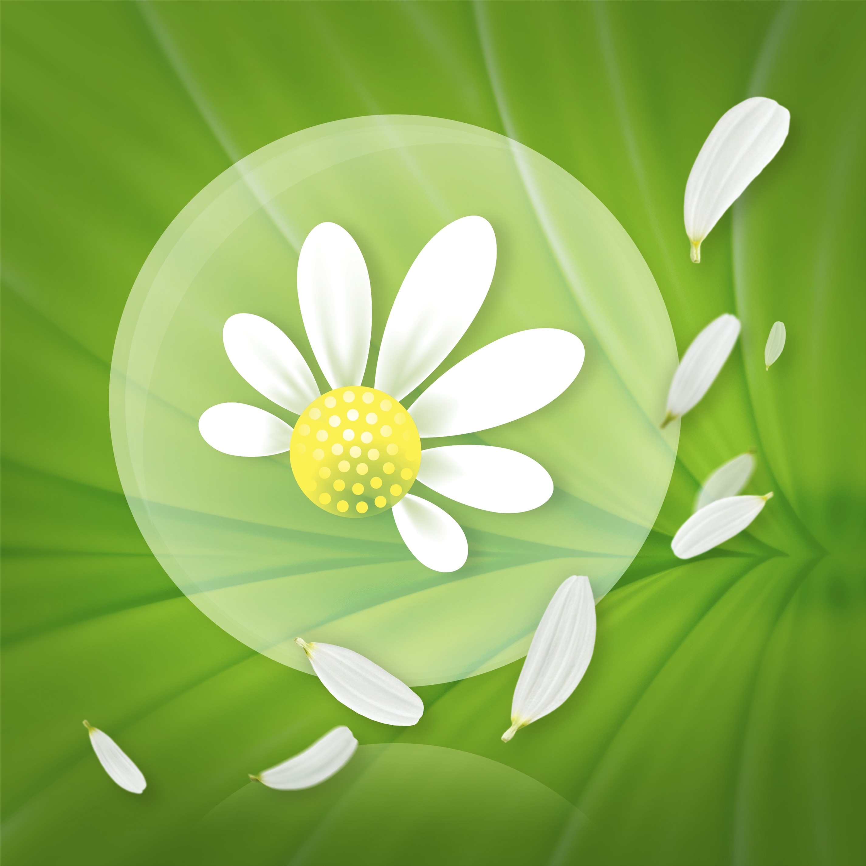 Ежедневные прокладки Naturella Camomile Plus 20 шт фото 3