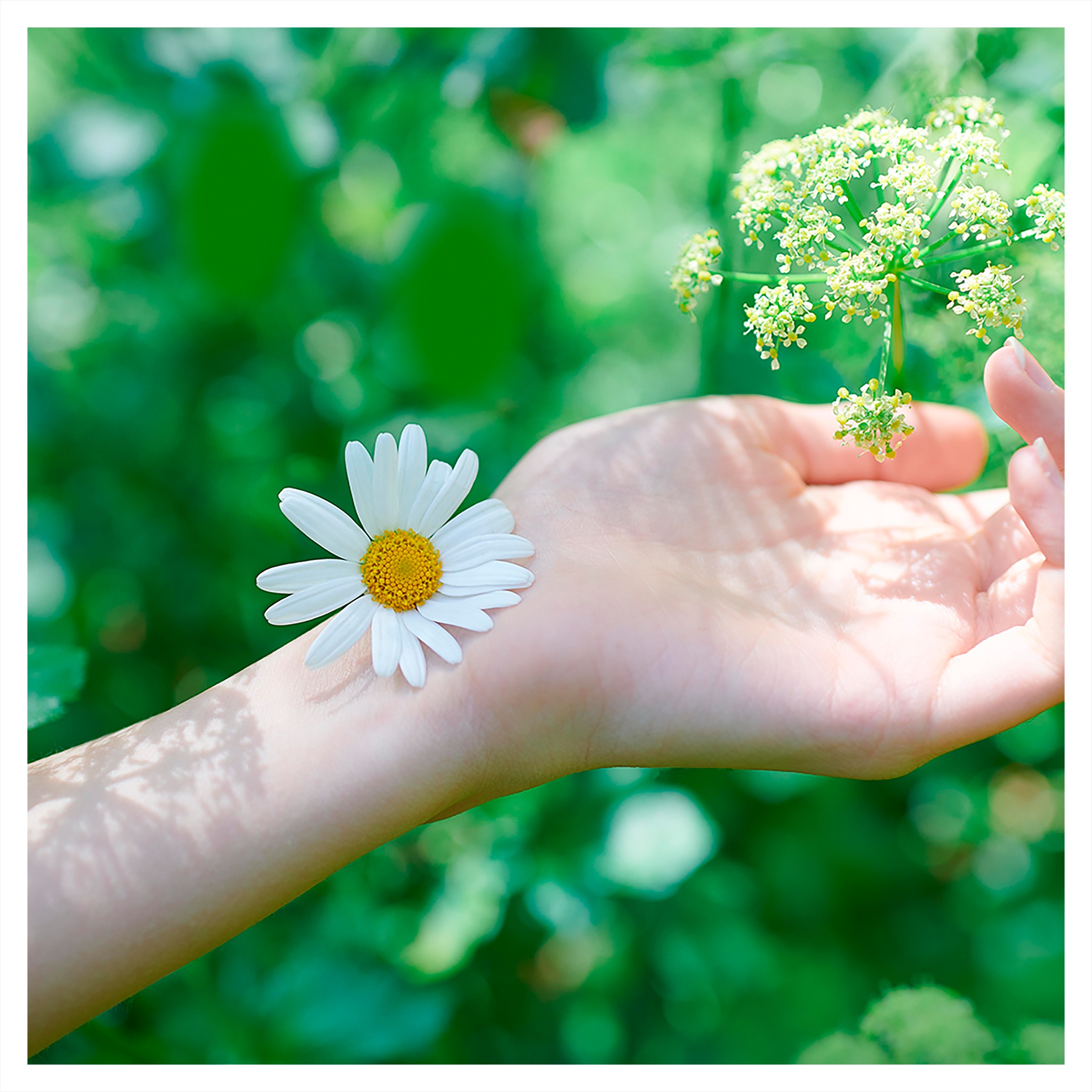 Гігієнічні прокладки Naturella Ultra Normal Plus 9 штфото